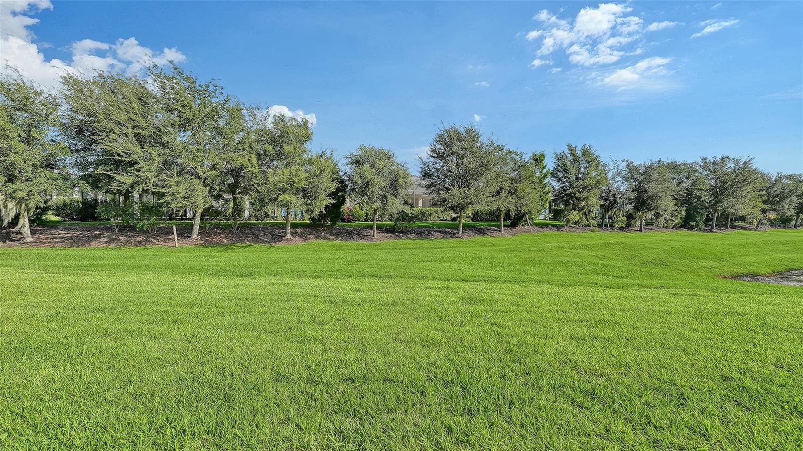 Single Family Residence at 13916 PAINTED LOOP, PARRISH, photo 29 of 31