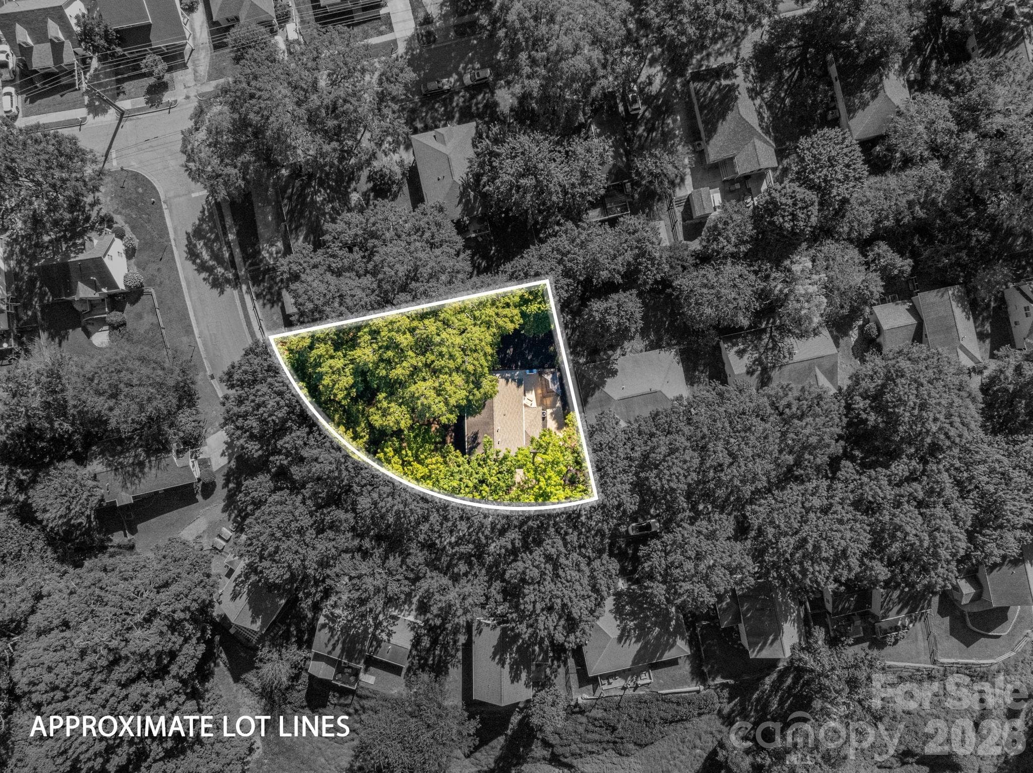Single Family Residence at 224 Howe Street, Belmont, photo 29 of 31