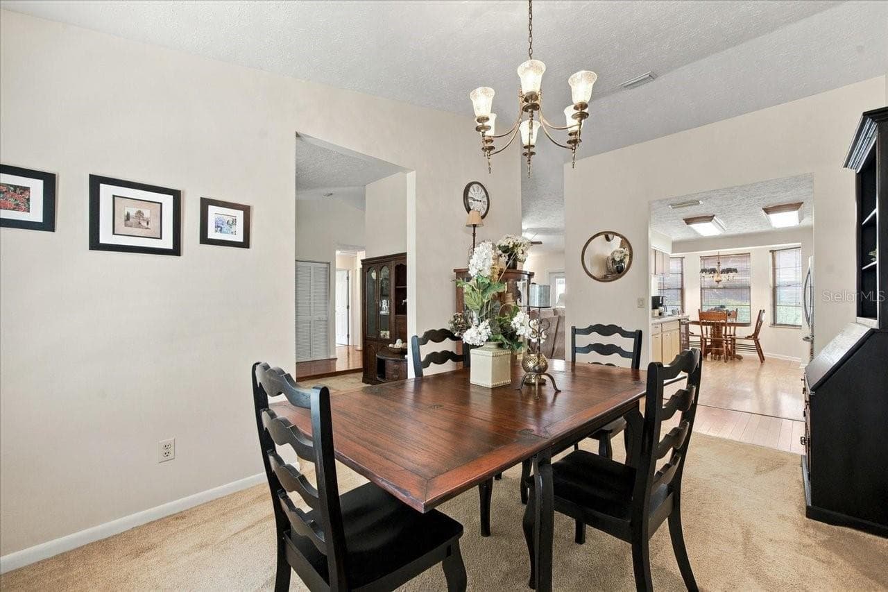 Single Family Residence at 26953 CORAL VINE LN, WESLEY CHAPEL, photo 30 of 70