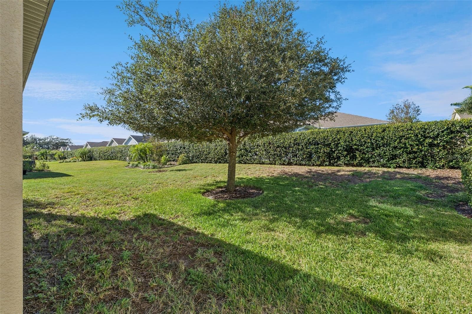 Backyard - 6103 PLOVER MEADOW ST, LITHIA