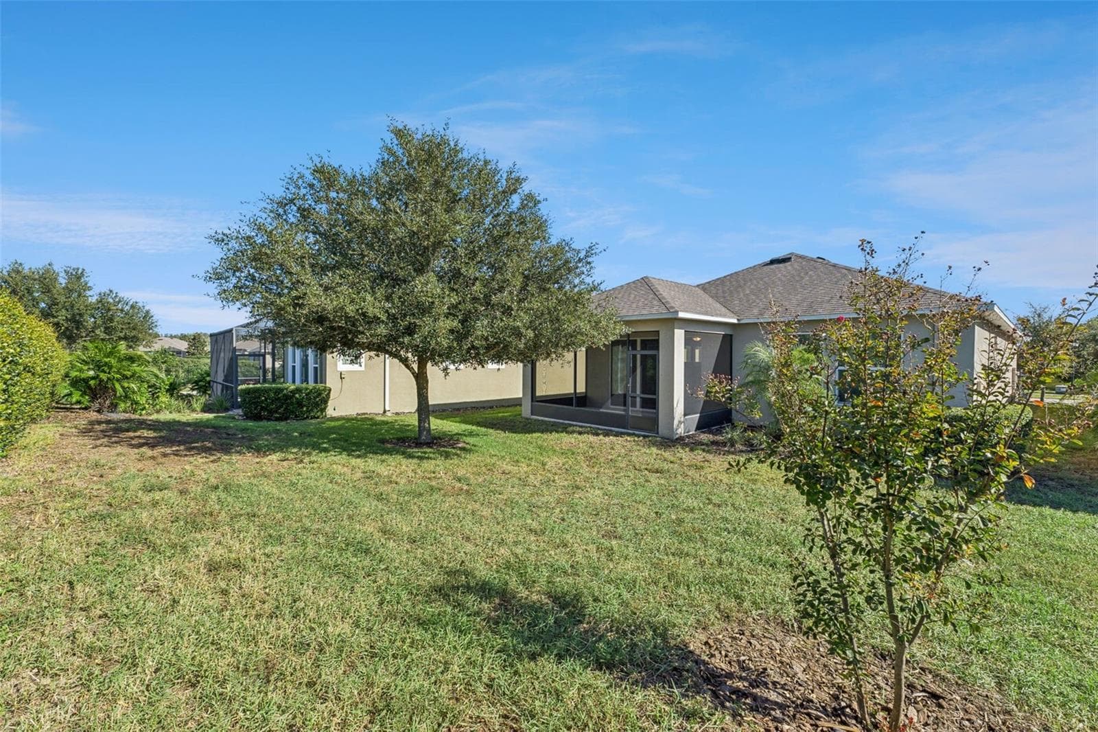 Backyard - 6103 PLOVER MEADOW ST, LITHIA