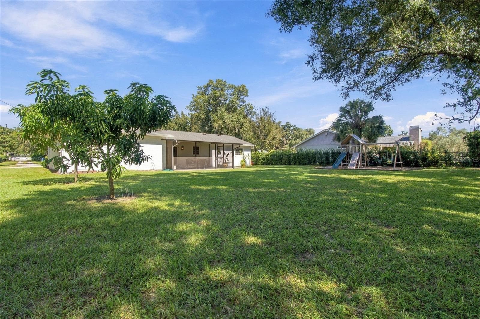 Backyard with Mango Trees - 9450 ROBERTS RD, ODESSA