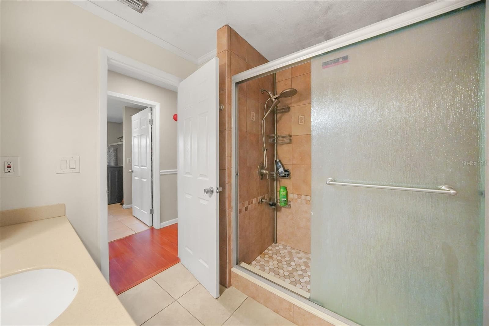 Single Family Residence at 6912 SENOJ DR, TAMPA, photo 29 of 59