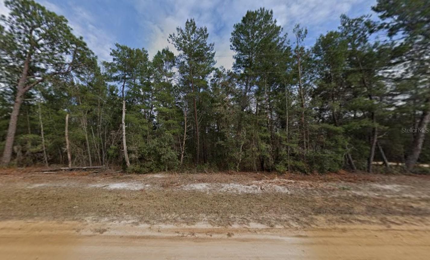 Land at CREAGER AVE, INTERLACHEN, photo 2 of 4