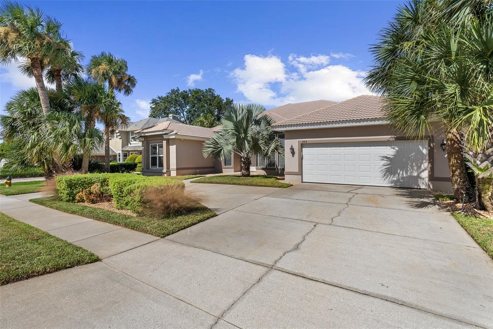 Driveway View - 993 MORI CT, PORT ORANGE