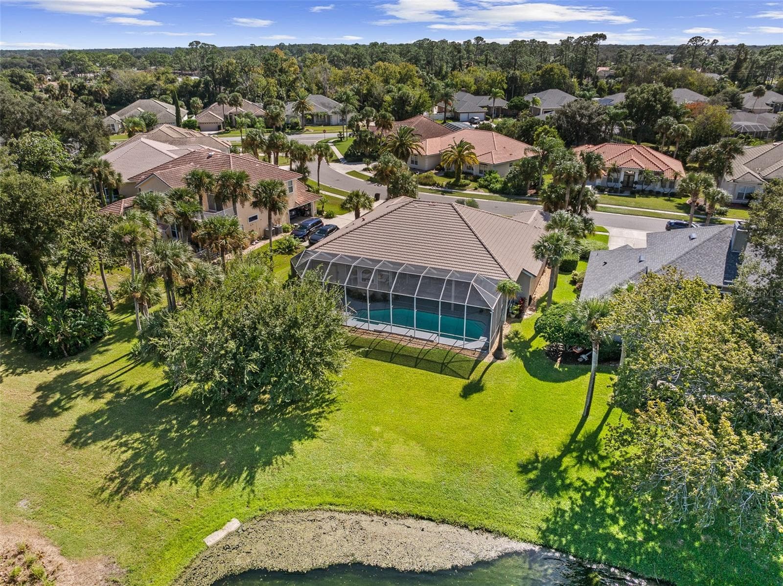 Backyard Drone View - 993 MORI CT, PORT ORANGE
