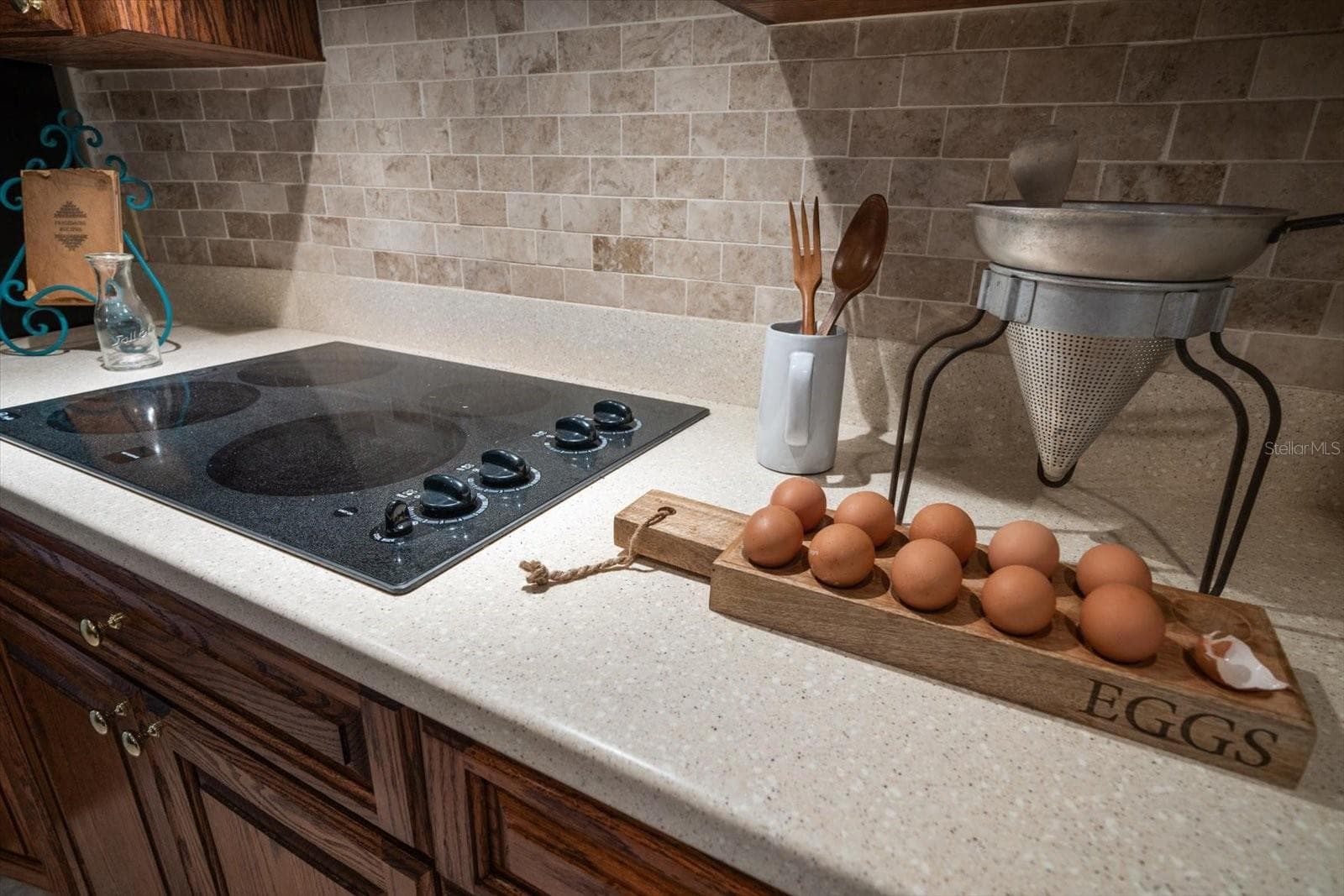 Let's get cooking! - 1105 DEER RUN PL, VALRICO