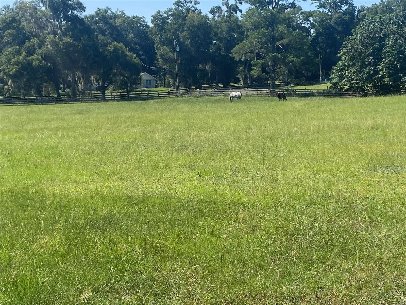 Manufactured Home at 14371 SW 14TH ST, OCALA, photo 5 of 13