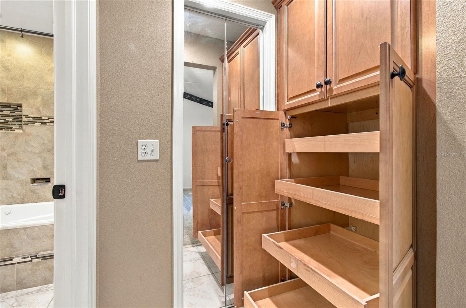 Extra Storage/Primary Closet - 1710 TARAH TRACE DR, BRANDON