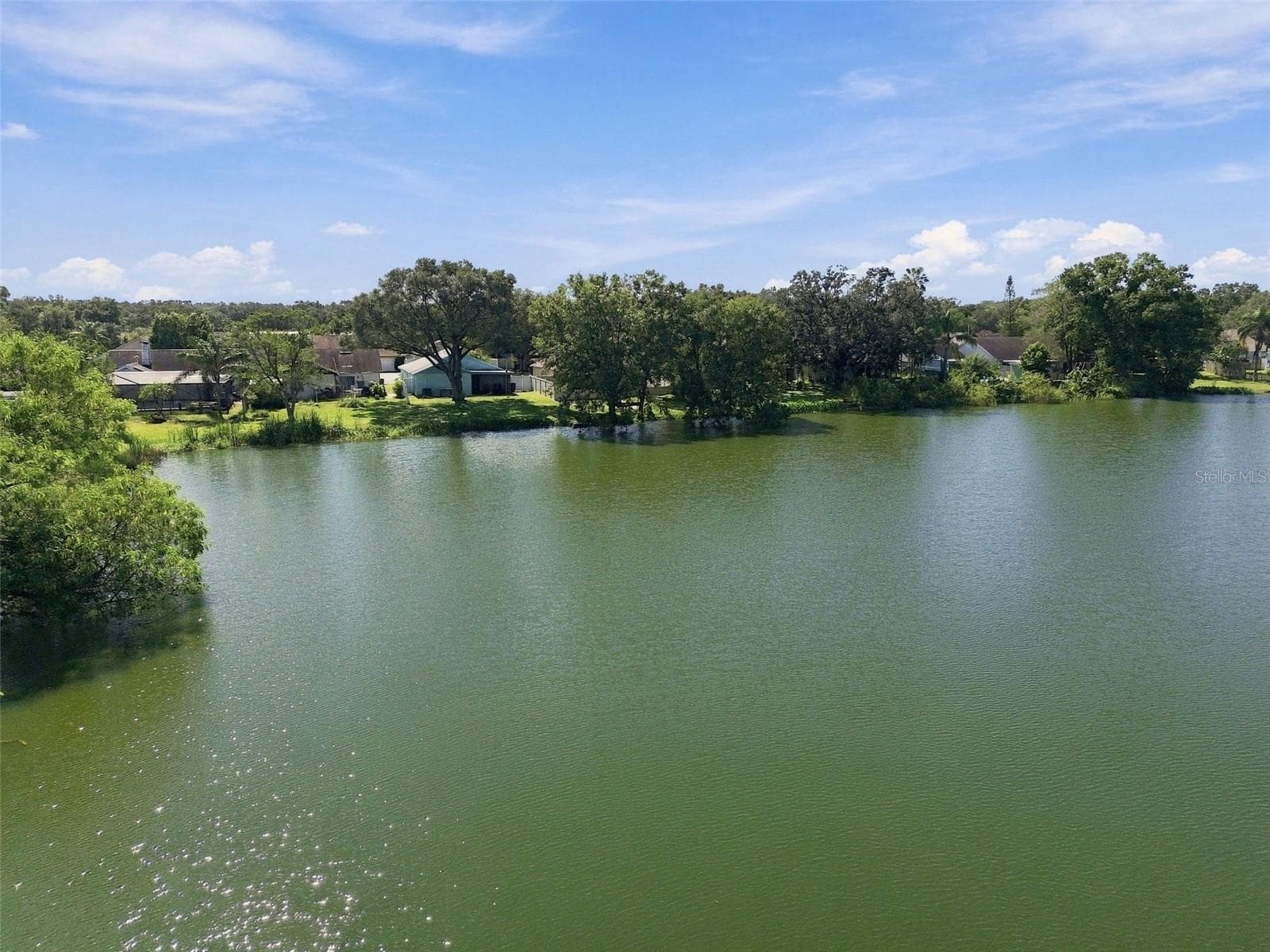 Glass Lake - 1710 TARAH TRACE DR, BRANDON
