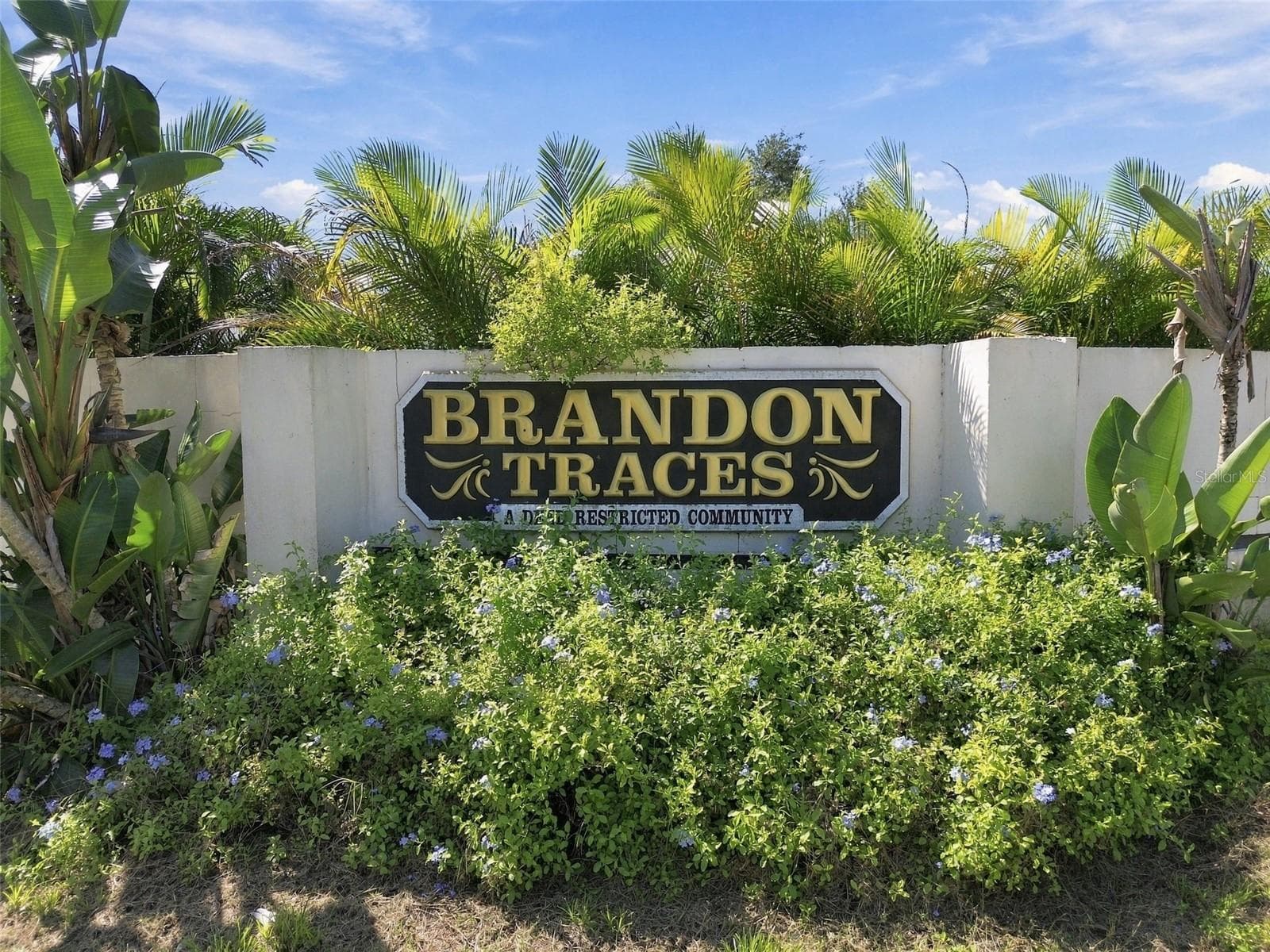 Community - 1710 TARAH TRACE DR, BRANDON