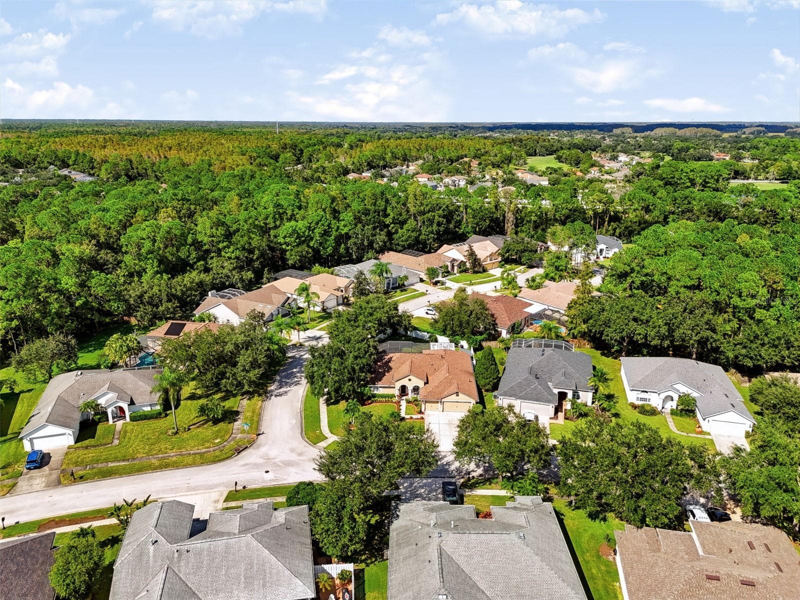 Single Family Residence at 12541 LEATHERLEAF DR, TAMPA, photo 3 of 38