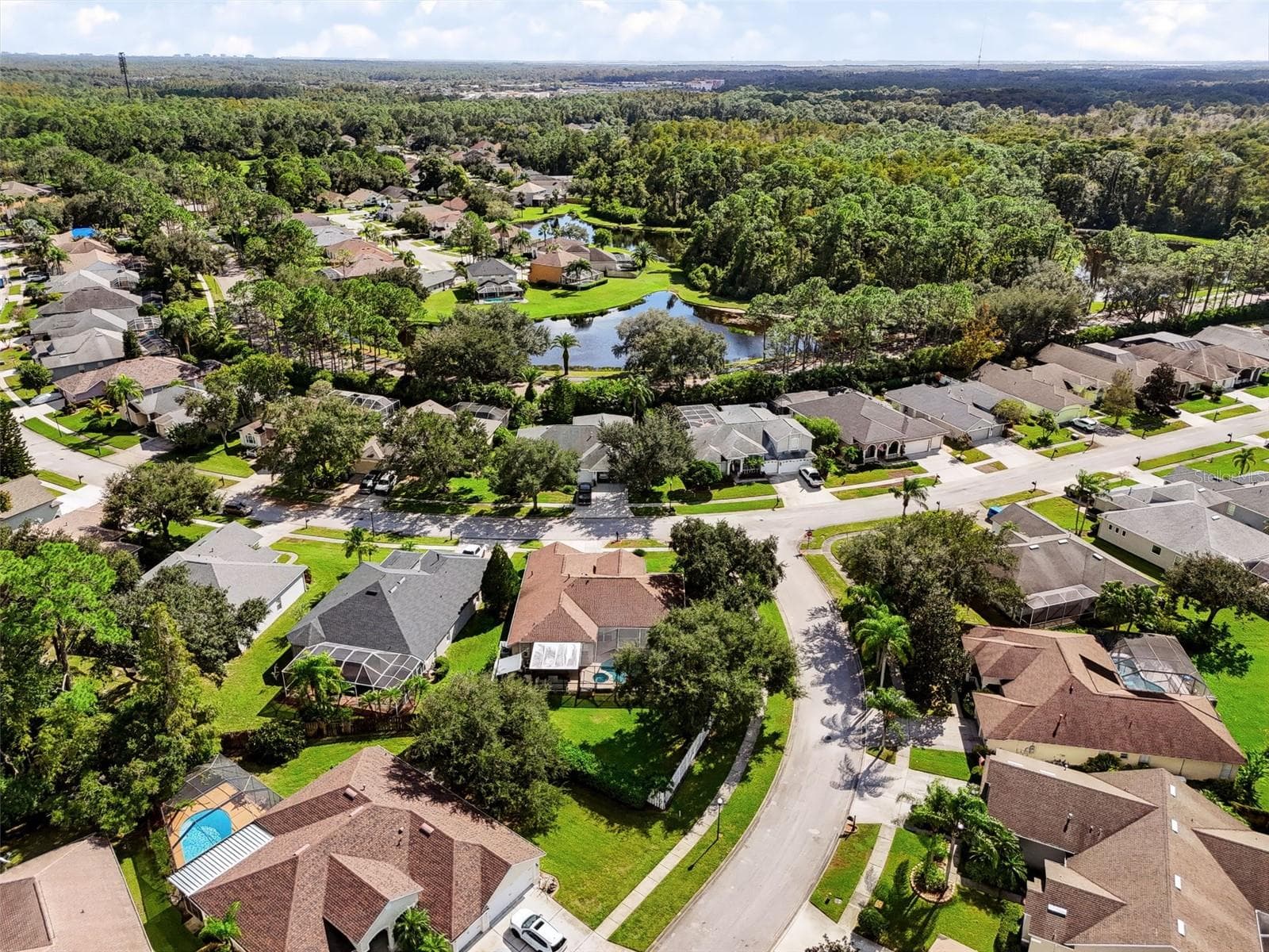Single Family Residence at 12541 LEATHERLEAF DR, TAMPA, photo 35 of 38