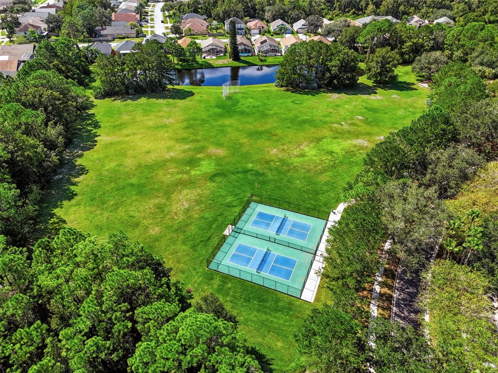 community features - 12541 LEATHERLEAF DR, TAMPA