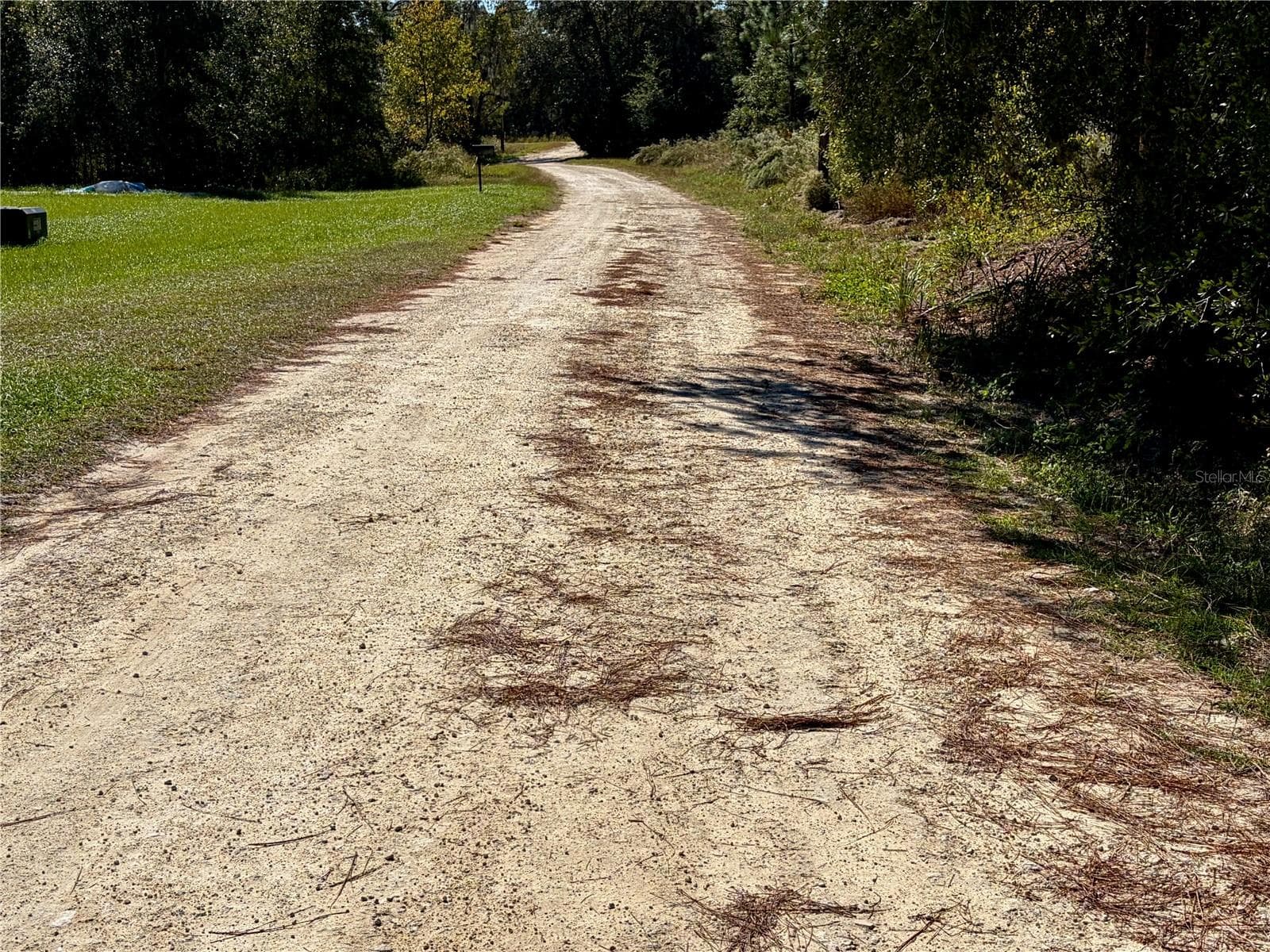 Land at 0 SW 143RD COURT, OCALA, photo 4 of 5