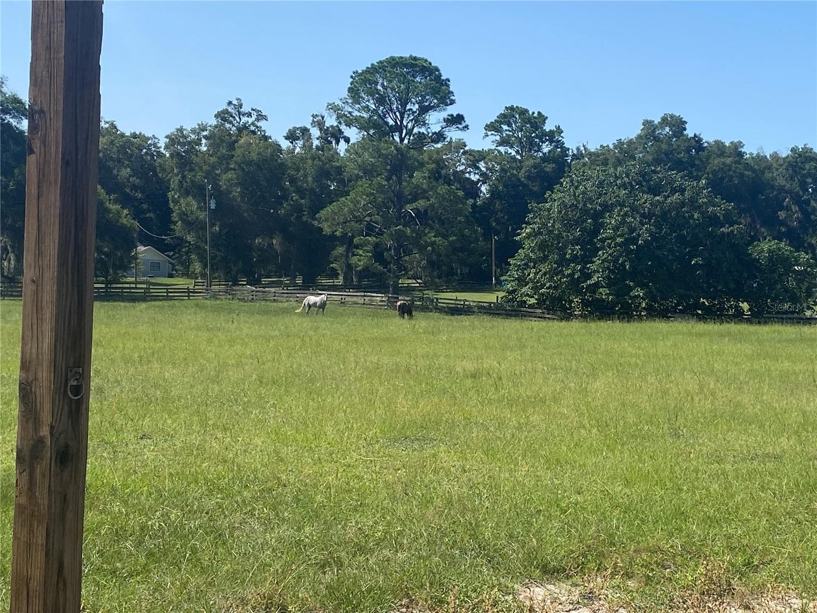 Farm at 14421 SW 14TH ST, OCALA, photo 3 of 12
