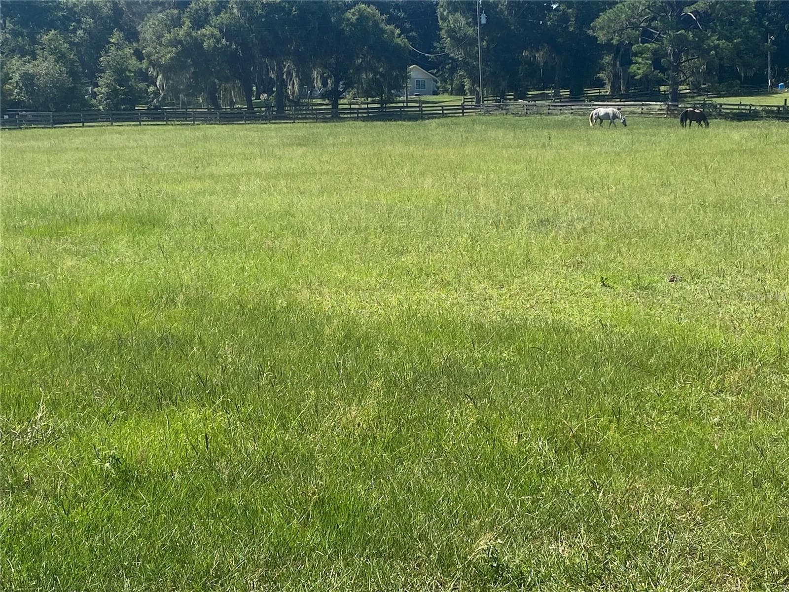 Farm at 14421 SW 14TH ST, OCALA, photo 5 of 12