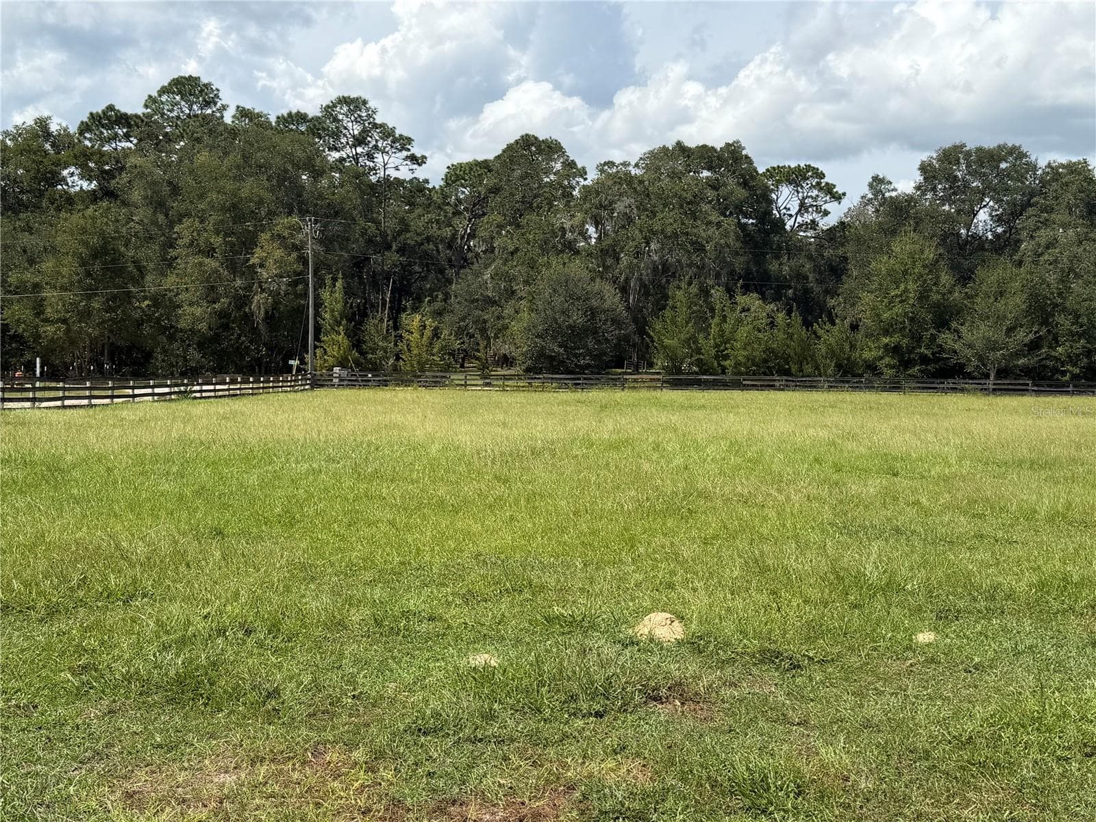 Farm at 14421 SW 14TH ST, OCALA, photo 7 of 12