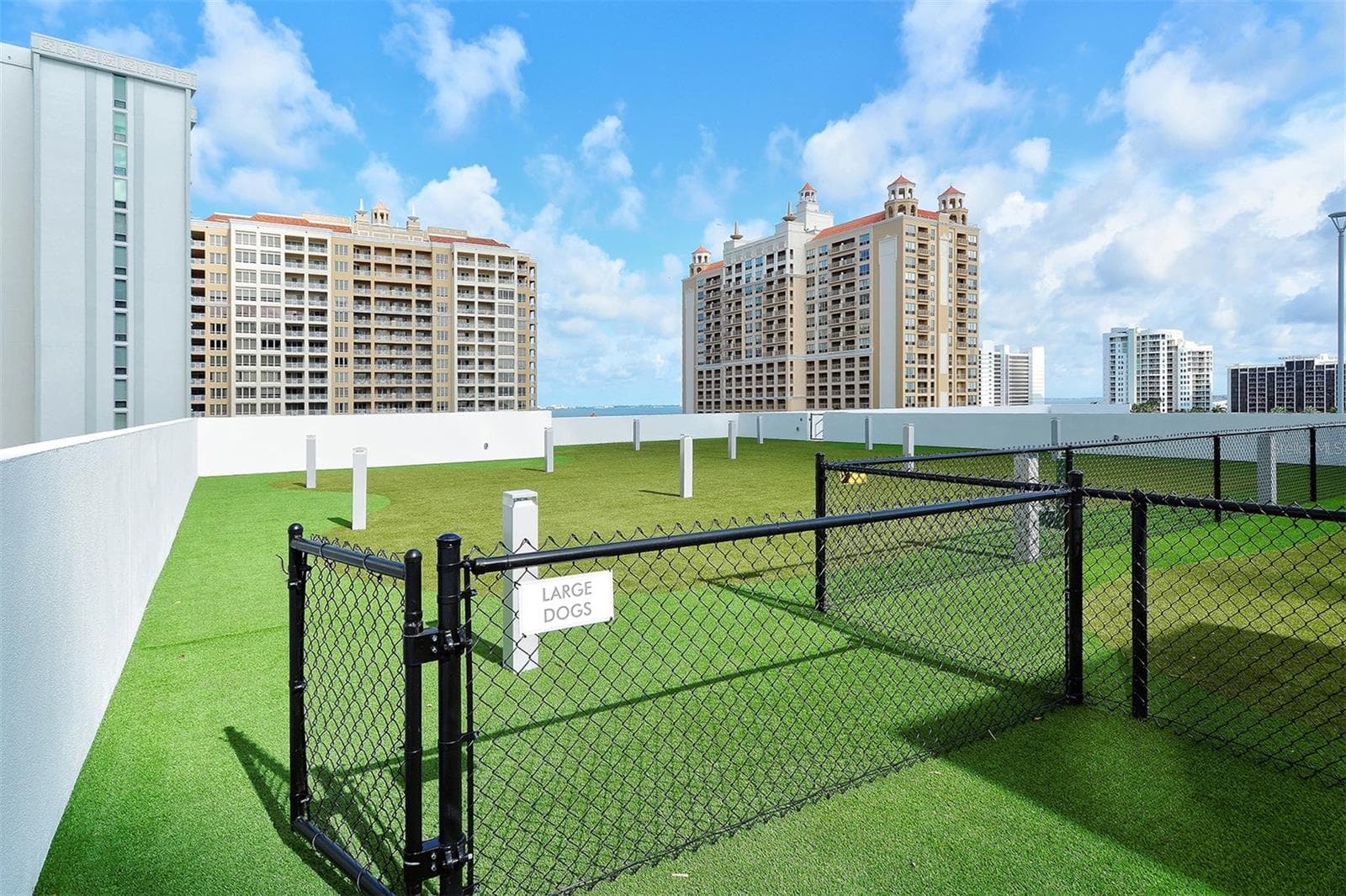 The rooftop dog park offers spectacular panoramic views, giving your four-legged residents a view to rival the best in the building. - 1155 N GULFSTREAM AVE #207, SARASOTA