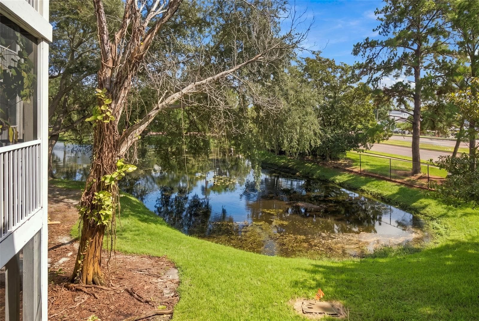Condominium at 10020 STRAFFORD OAK CT #914, TAMPA, photo 25 of 25