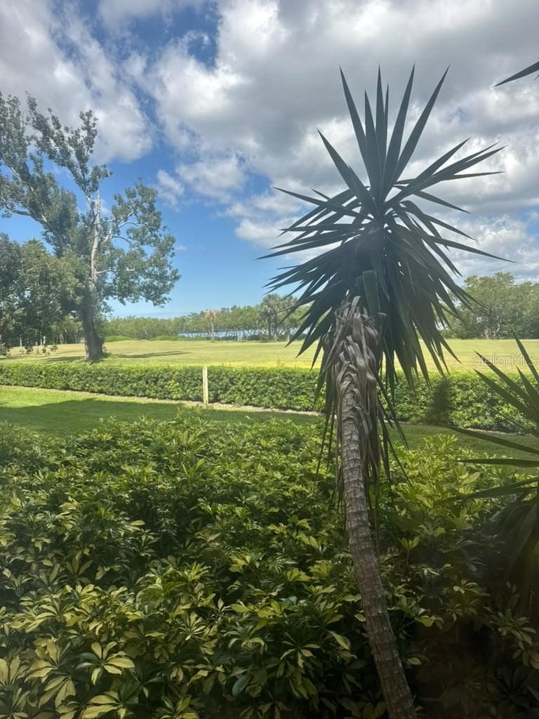 Condominium at 2617 COVE CAY DR #107, CLEARWATER, photo 20 of 21
