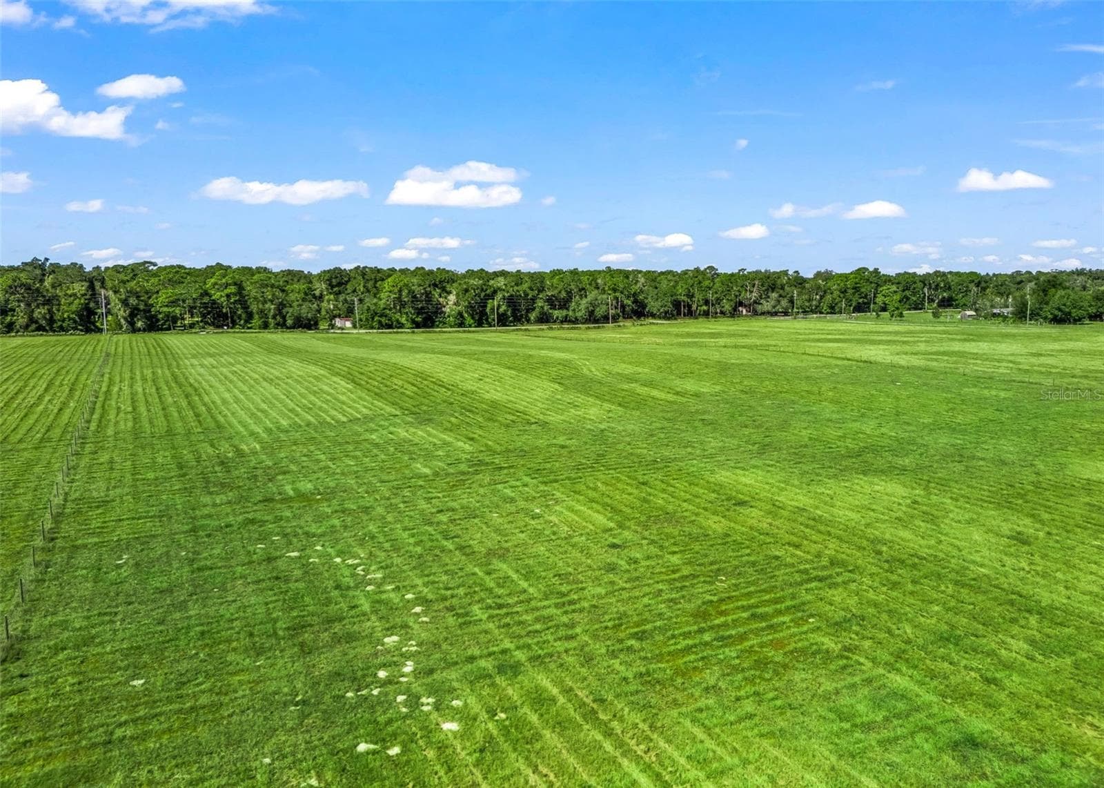 Land at CR 575, BUSHNELL, photo 4 of 15