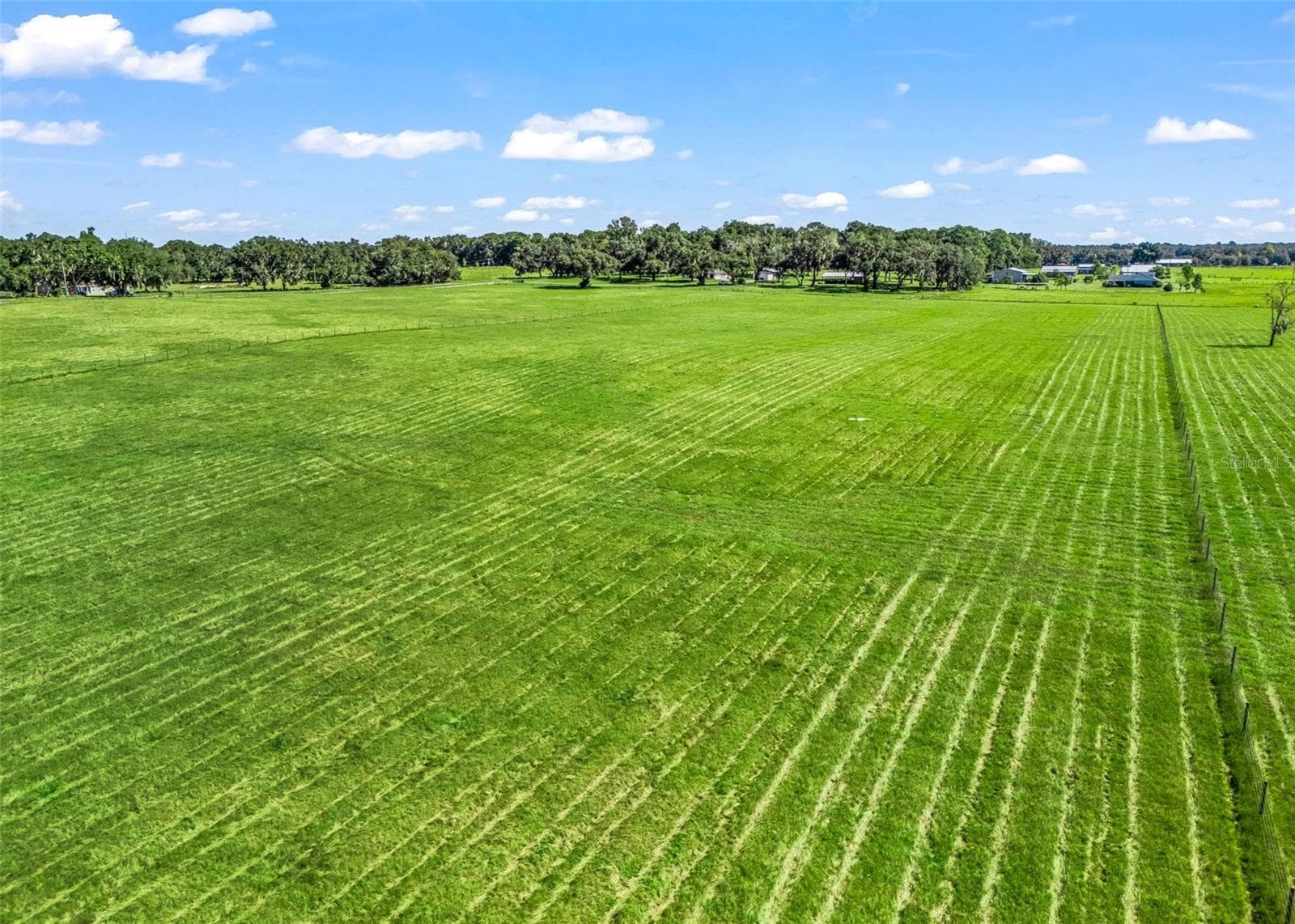 Land at CR 575, BUSHNELL, photo 5 of 15