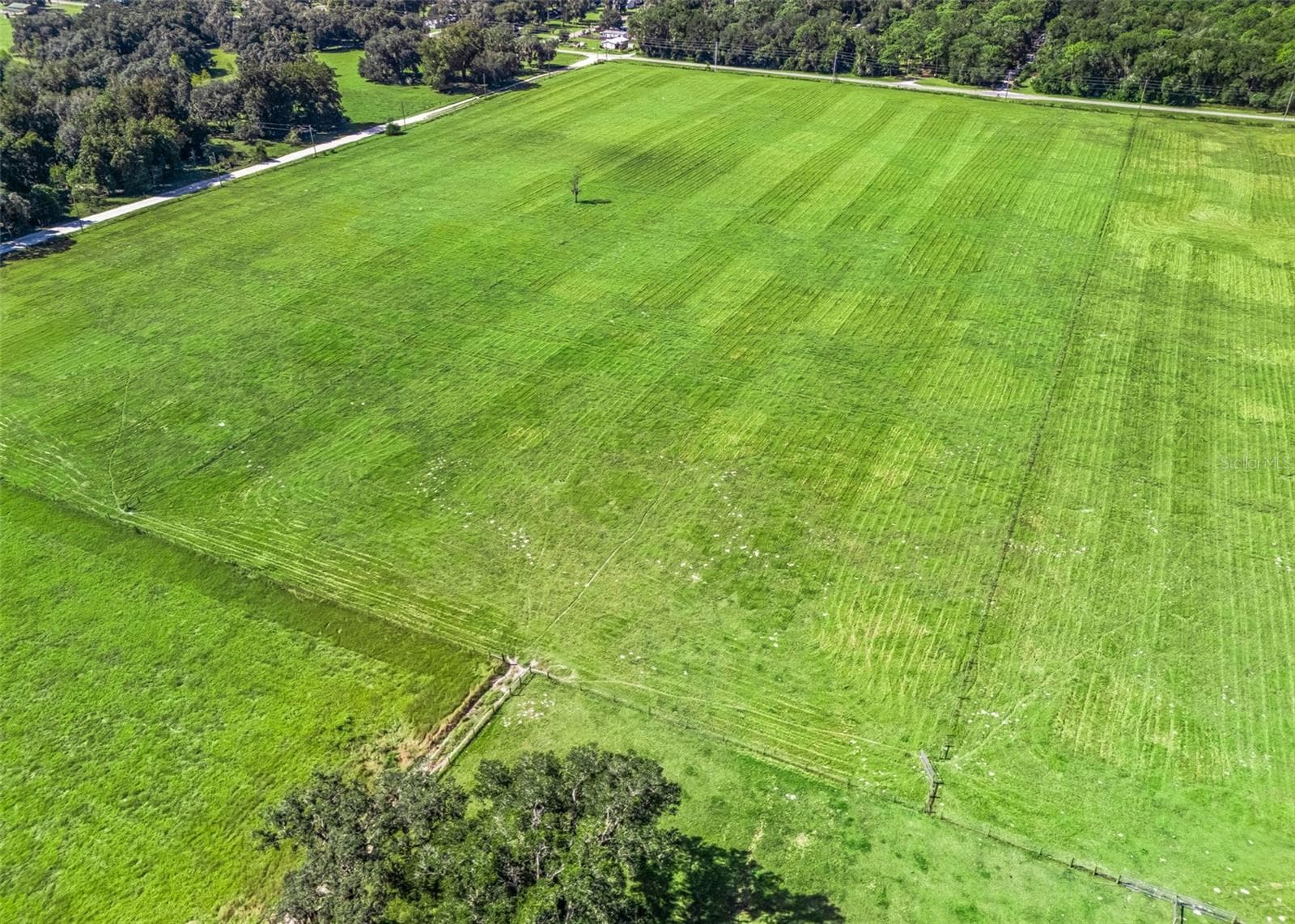 Land at CR 575, BUSHNELL, photo 14 of 15