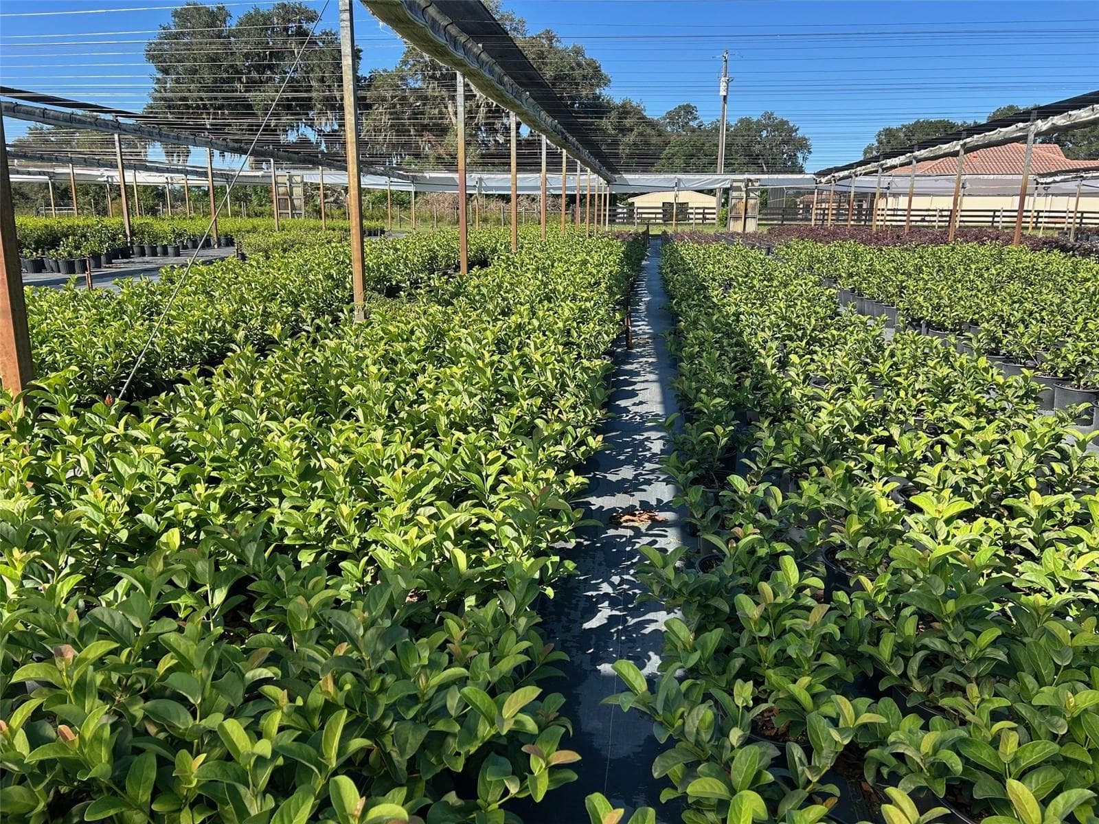 Agriculture at 23010 WOLF BRANCH RD, SORRENTO, photo 28 of 36