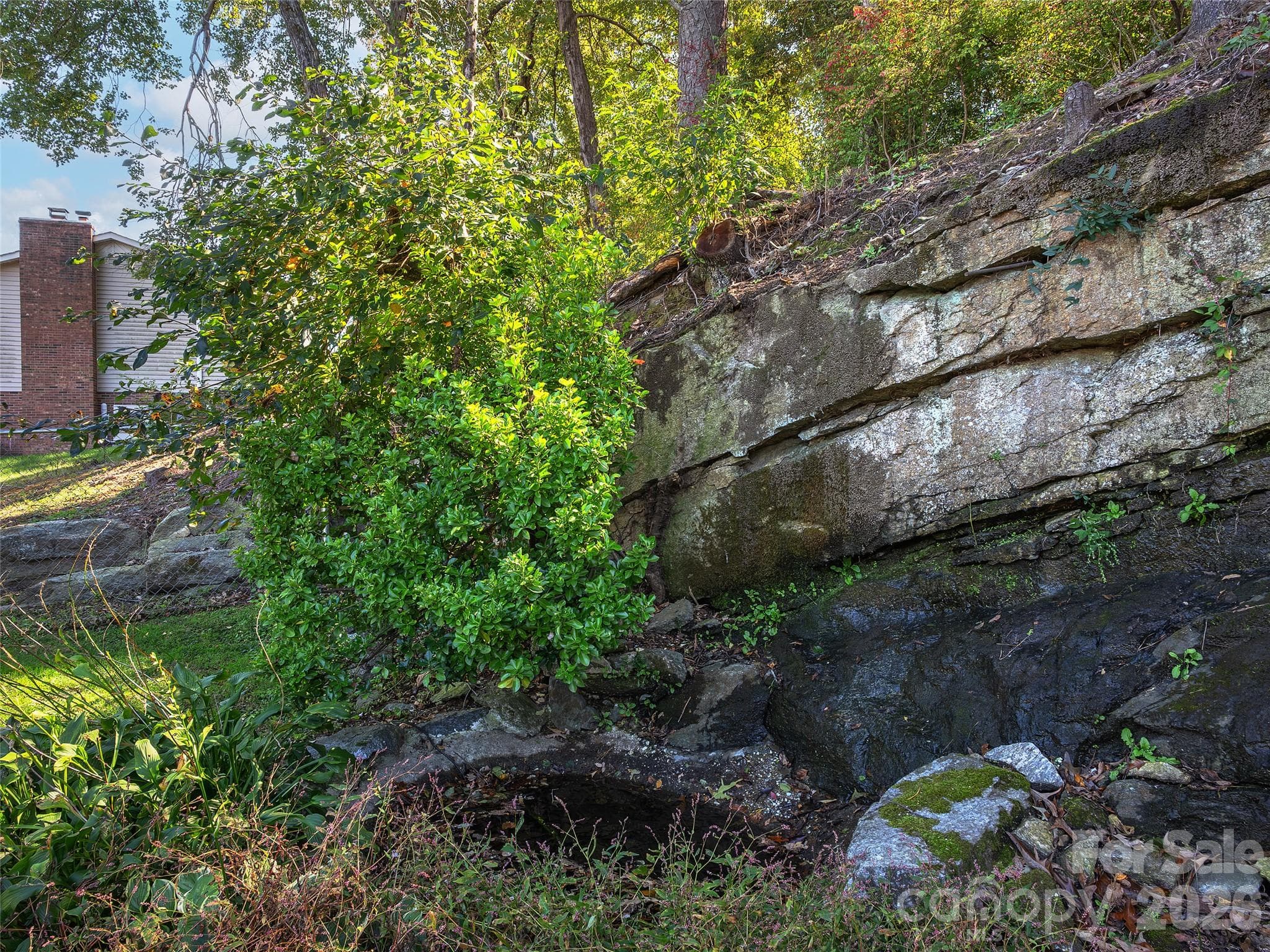 Back yard with beautiful rock feature - 110 Shelly Drive, Hendersonville