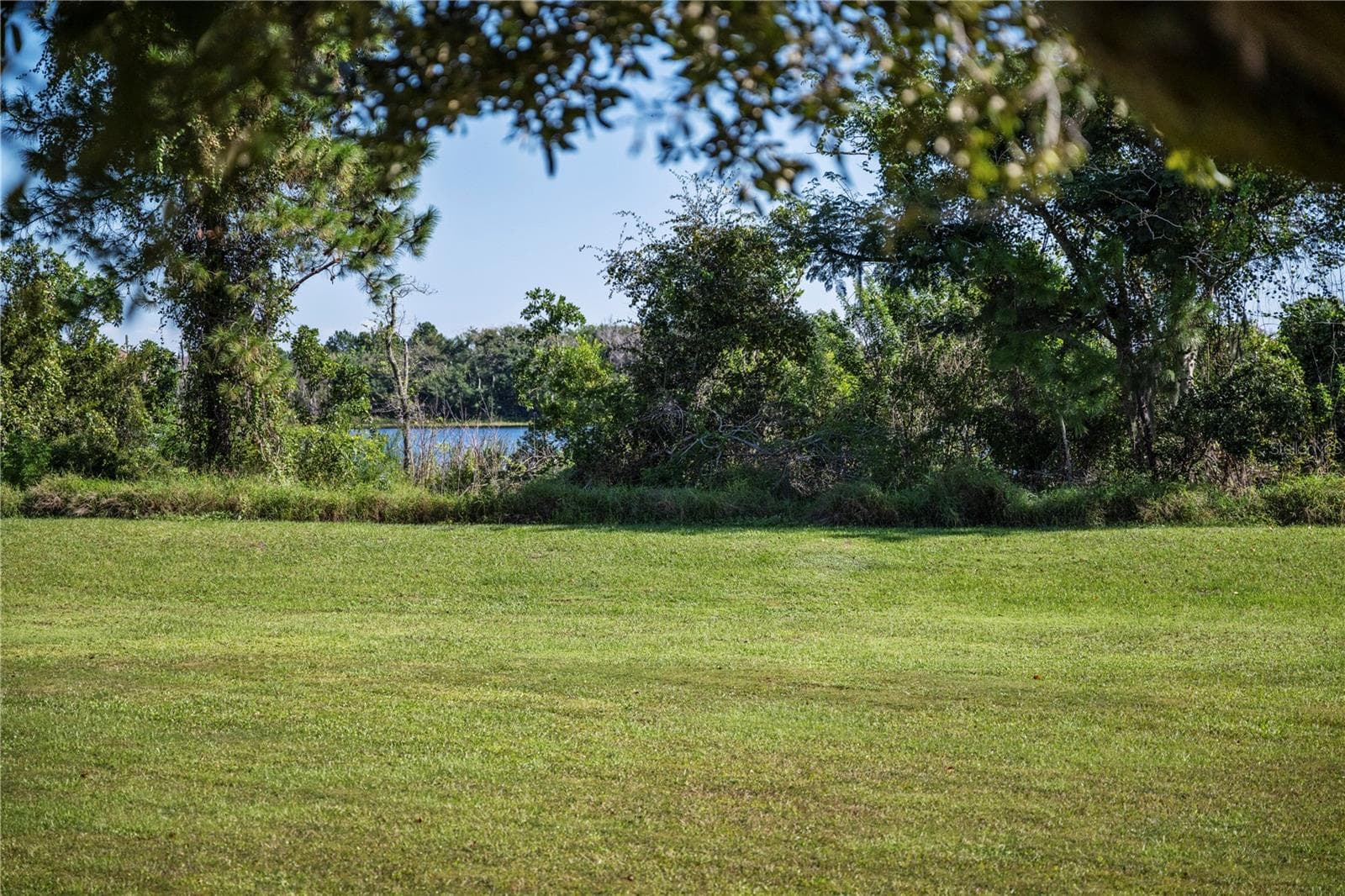 Lake views - 8516 DANFORTH DR, WINDERMERE