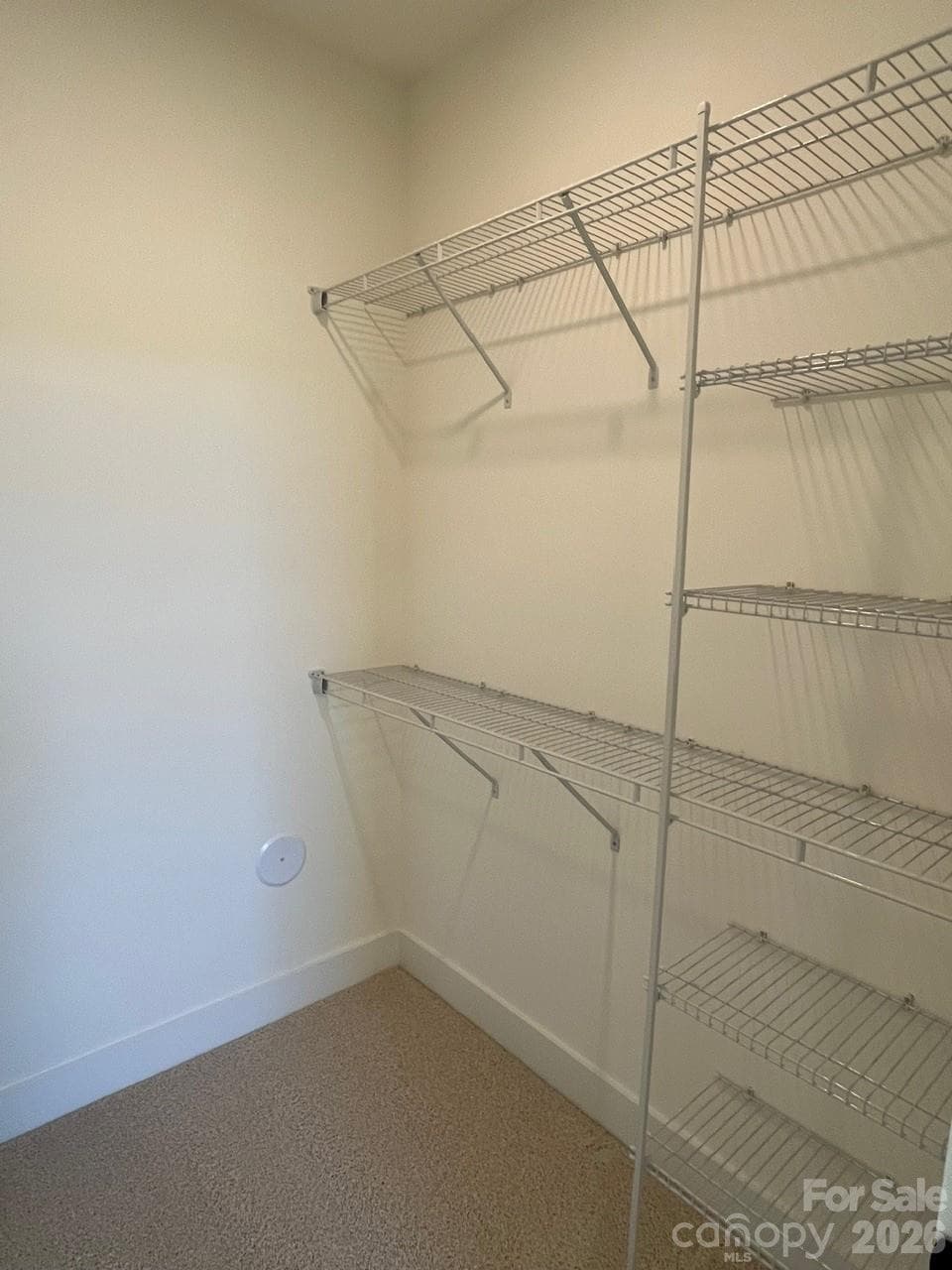 Lower-Level Bedroom #3 Closet - 9059 Maybry Park Street, Charlotte