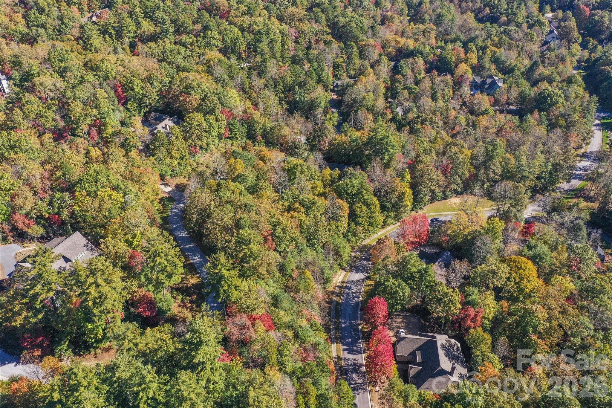 TBD Pine Mountain Trail