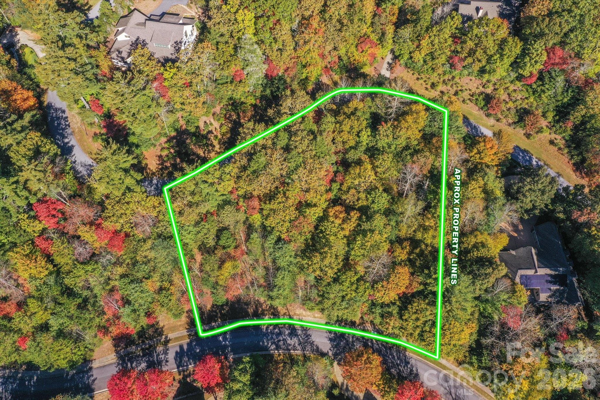 Lot at TBD Pine Mountain Trail, Brevard, photo 3 of 12