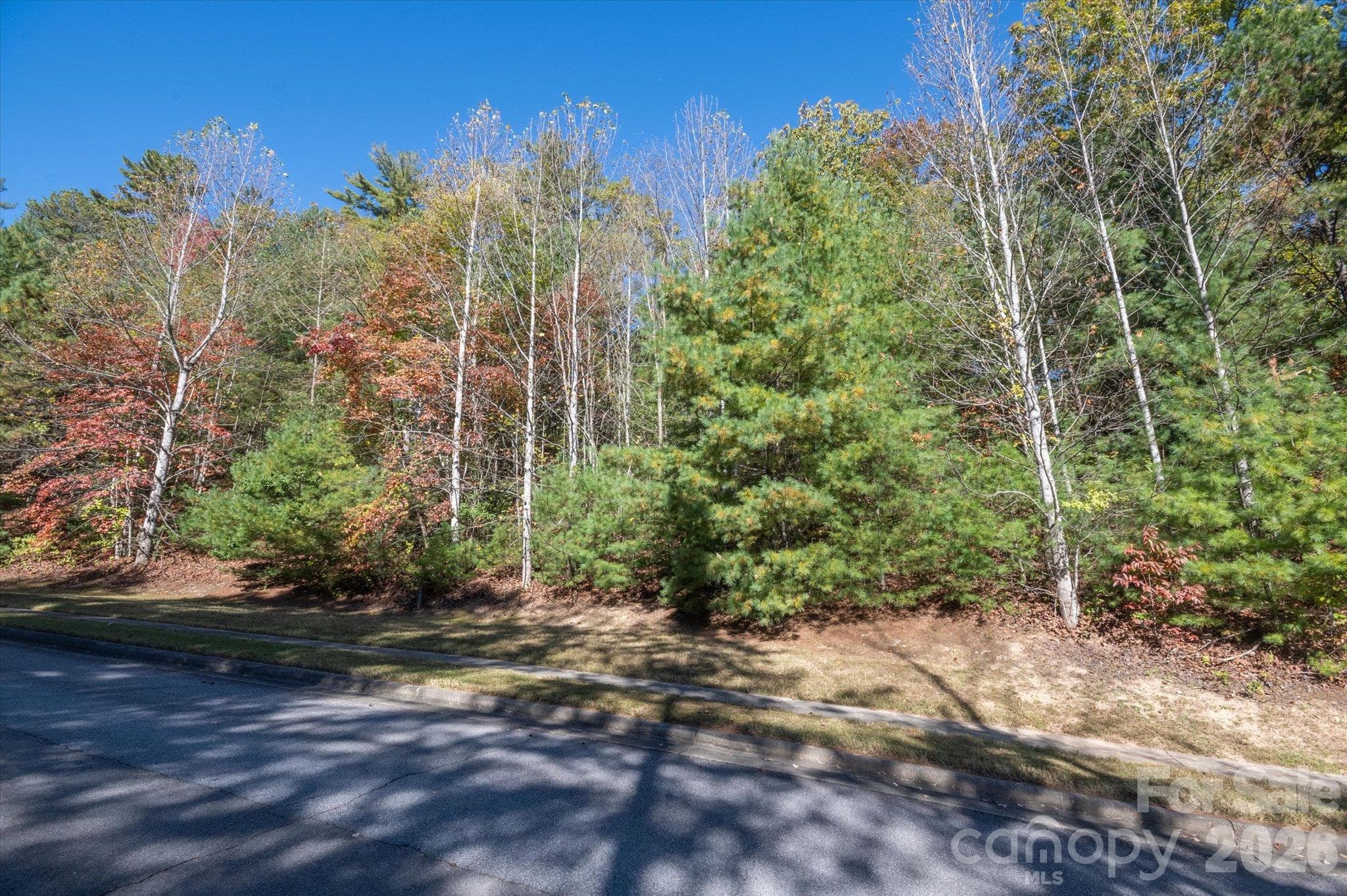 Lot at TBD Pine Mountain Trail, Brevard, photo 8 of 12