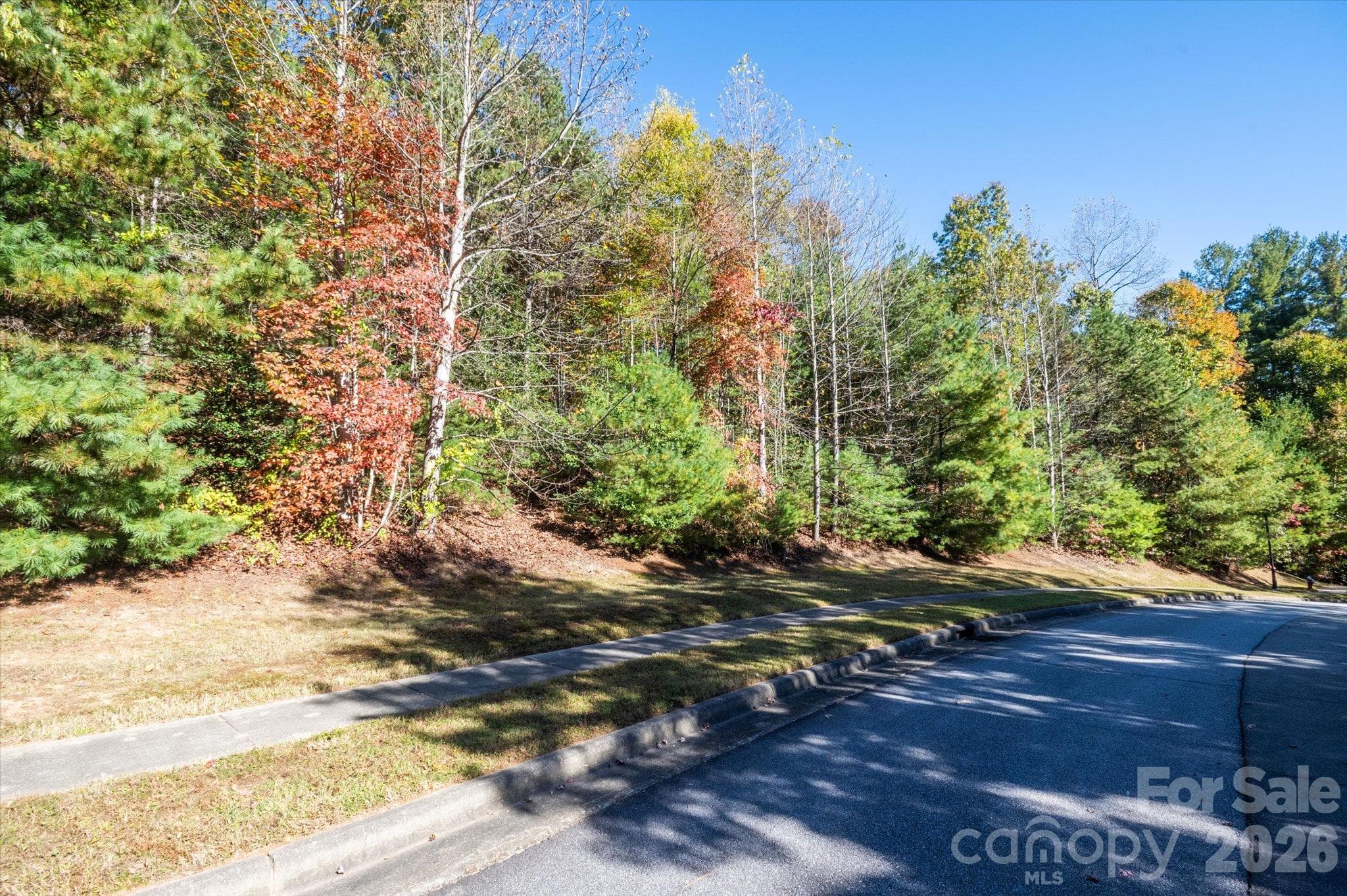 Lot at TBD Pine Mountain Trail, Brevard, photo 9 of 12