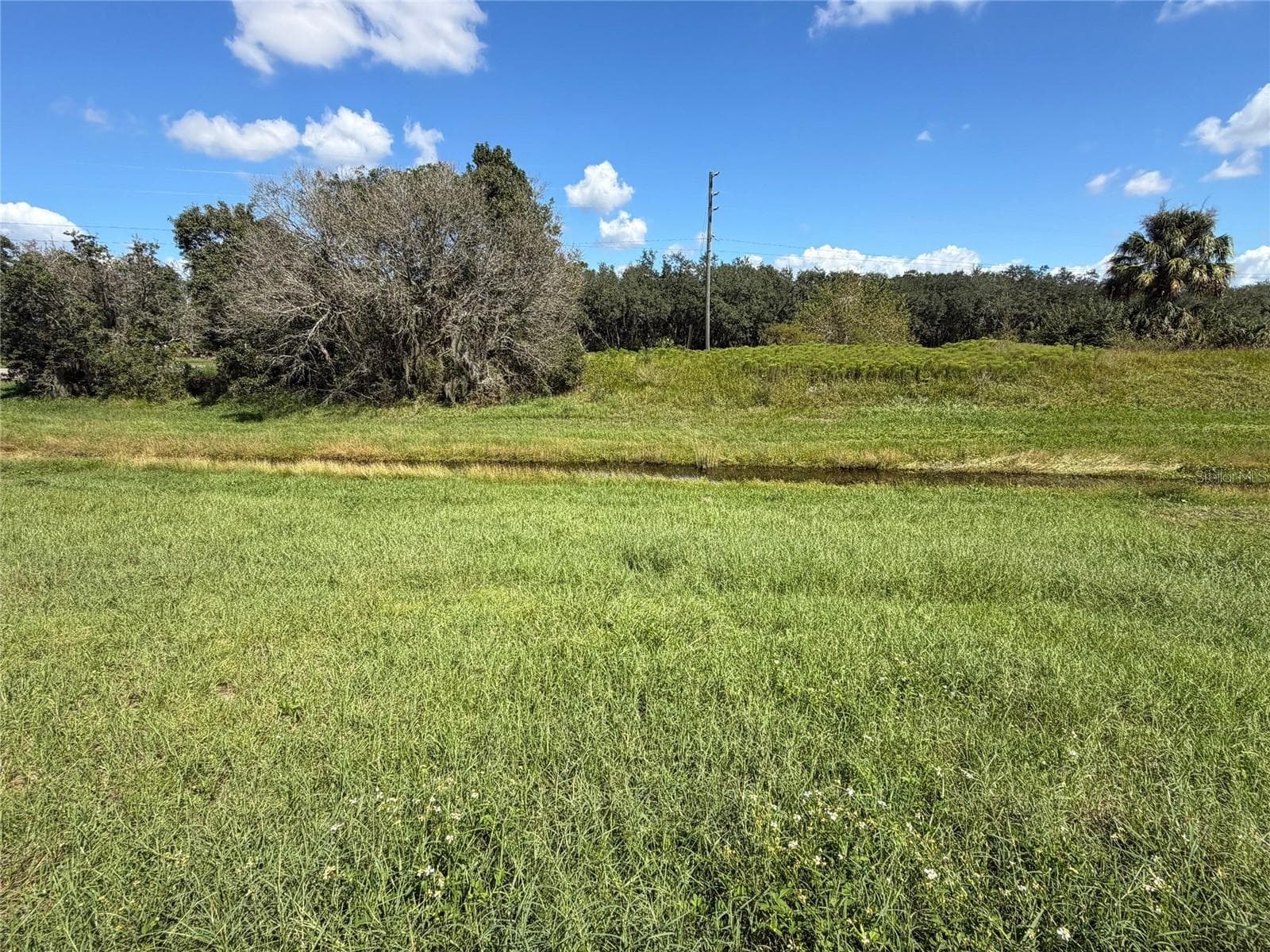 Property View - 231 GROUPER CT, POINCIANA