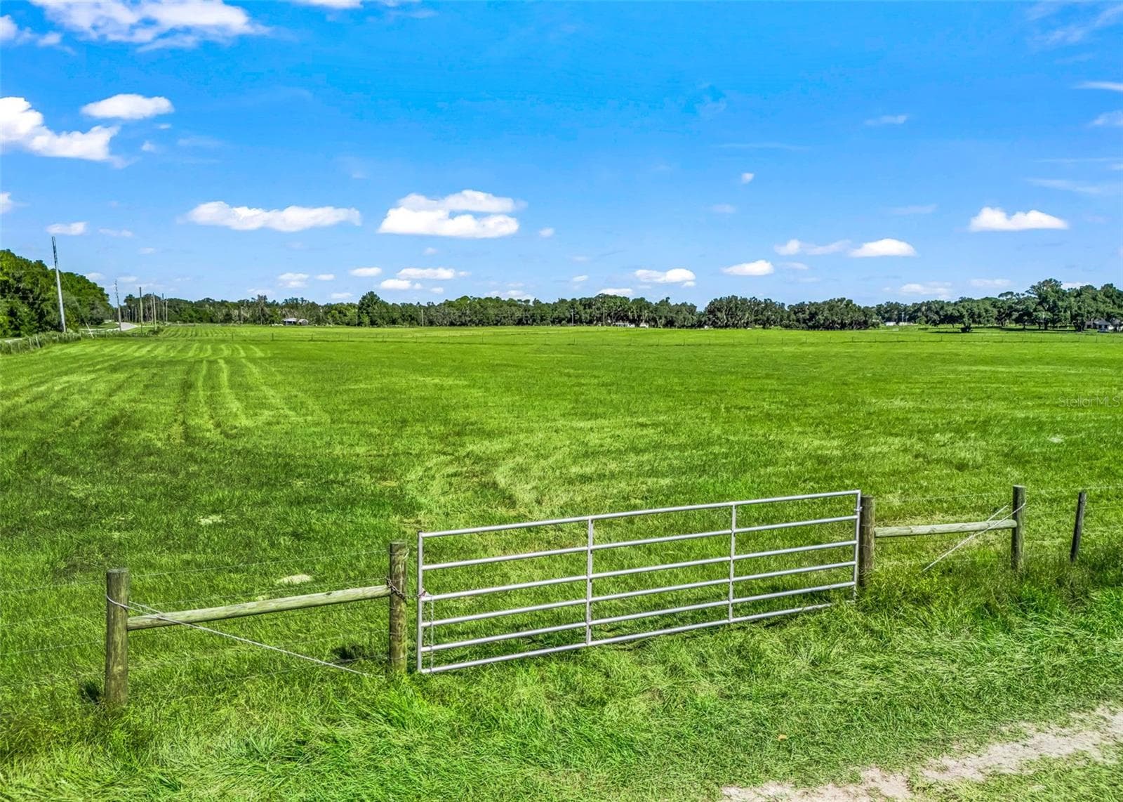 Land at CR 575, BUSHNELL, photo 2 of 18