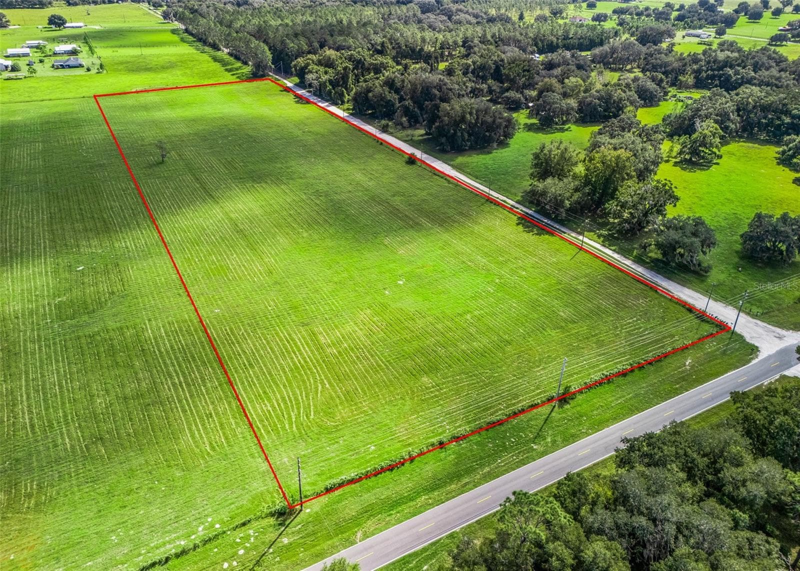 Land at CR 575, BUSHNELL, photo 3 of 18
