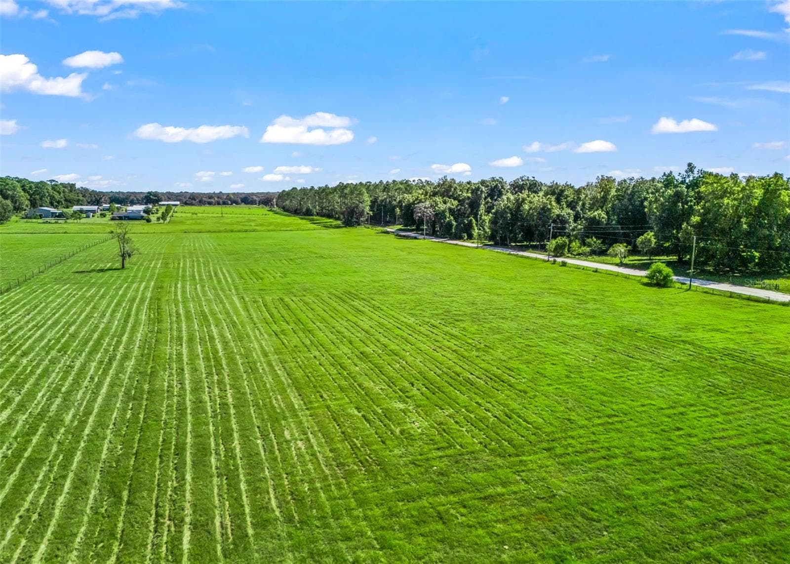 Land at CR 575, BUSHNELL, photo 4 of 18
