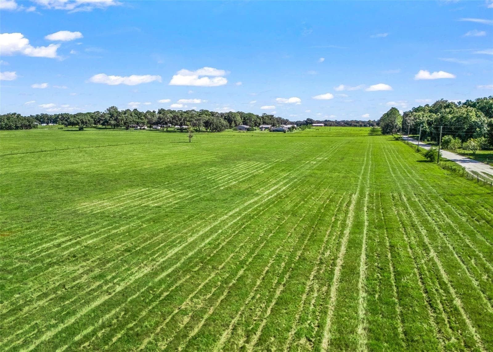 Land at CR 575, BUSHNELL, photo 5 of 18