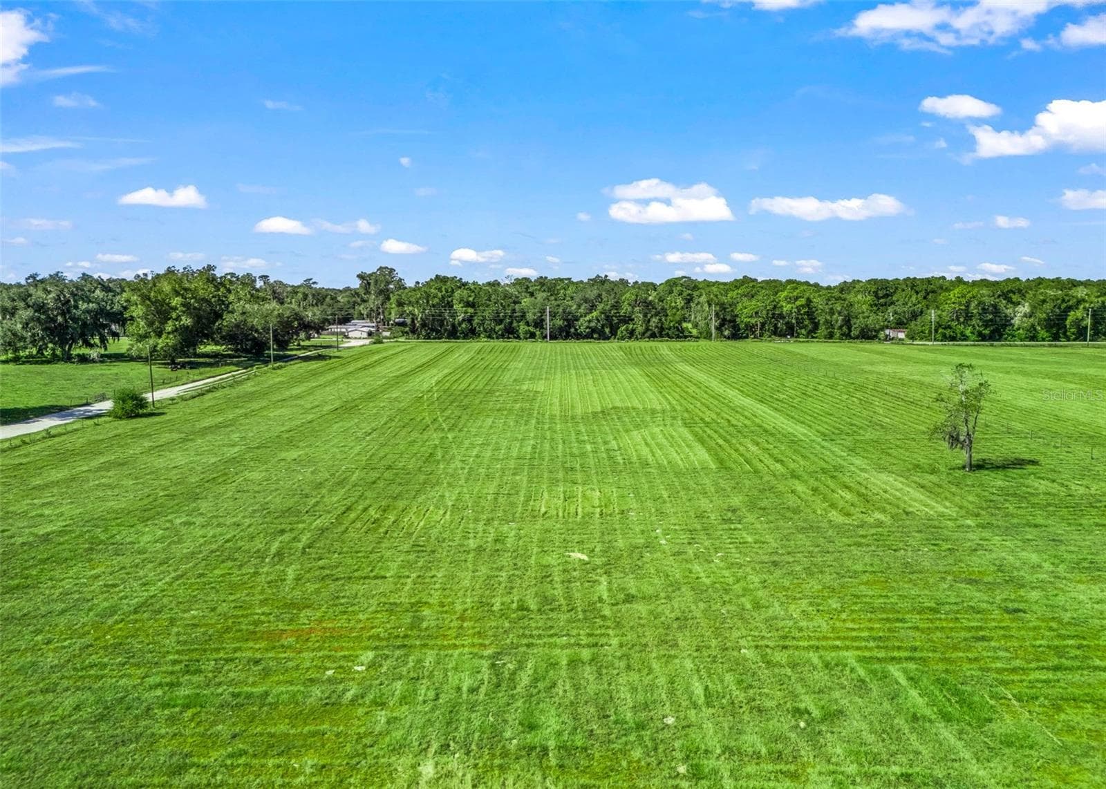 Land at CR 575, BUSHNELL, photo 6 of 18
