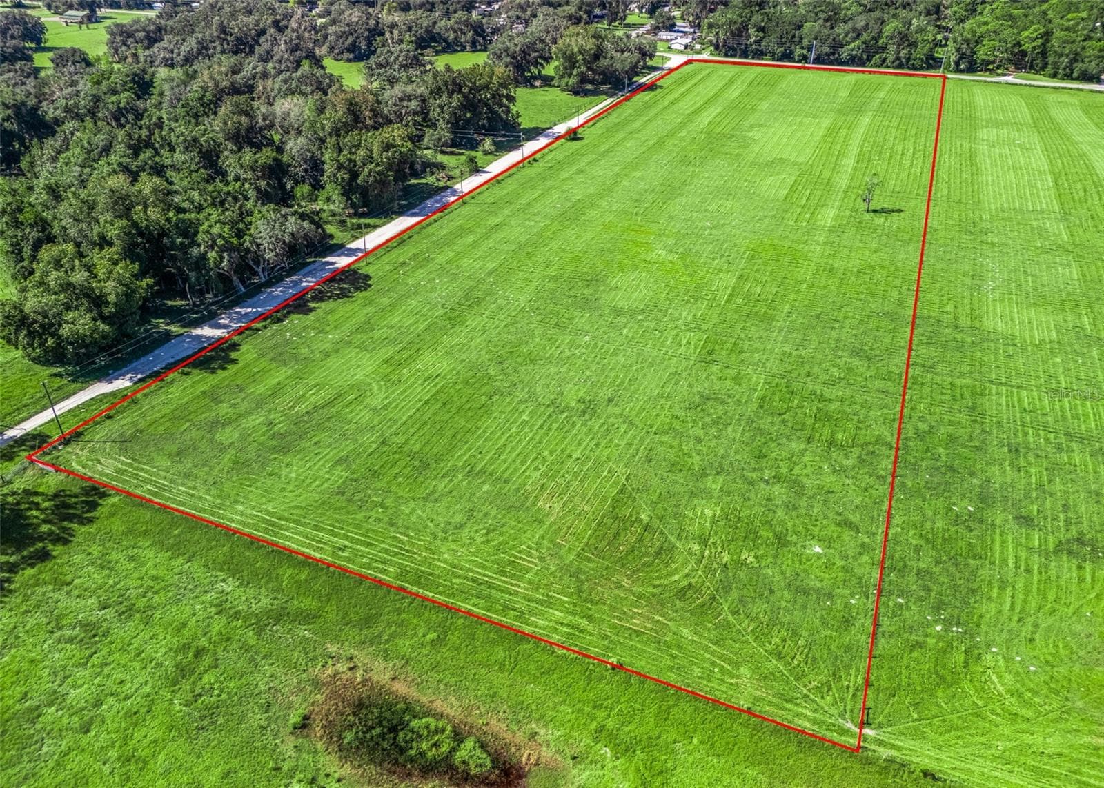 Land at CR 575, BUSHNELL, photo 9 of 18