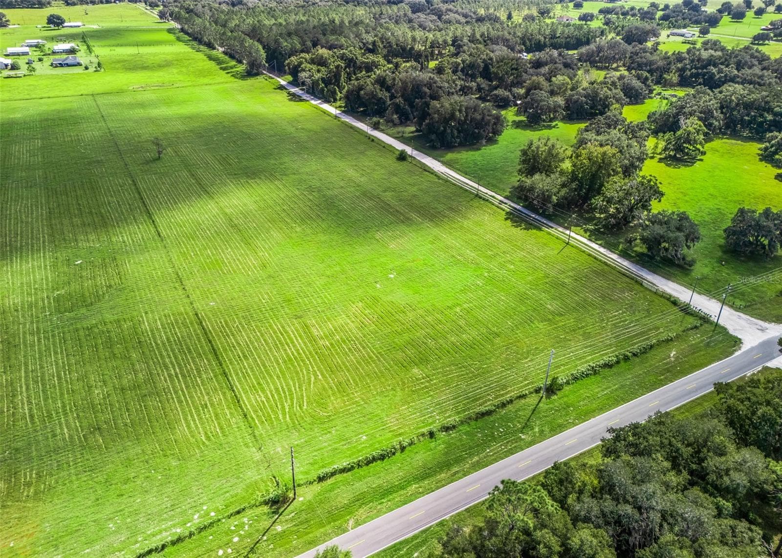 Land at CR 575, BUSHNELL, photo 14 of 18