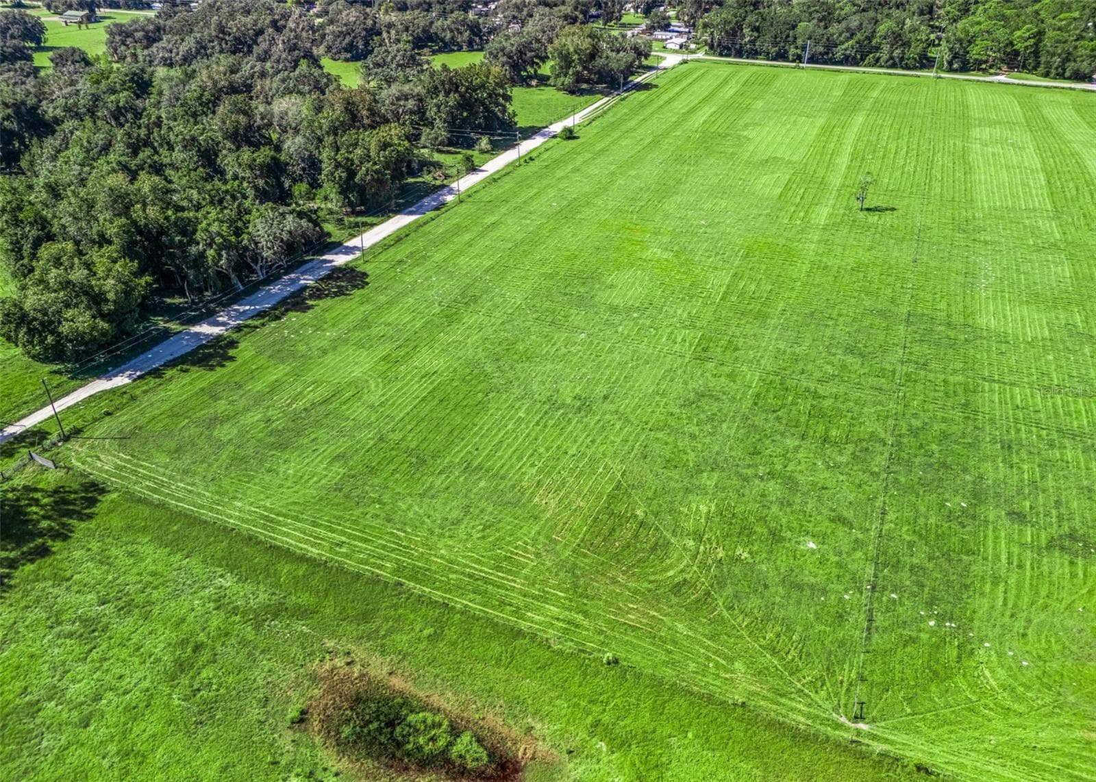 Land at CR 575, BUSHNELL, photo 16 of 18