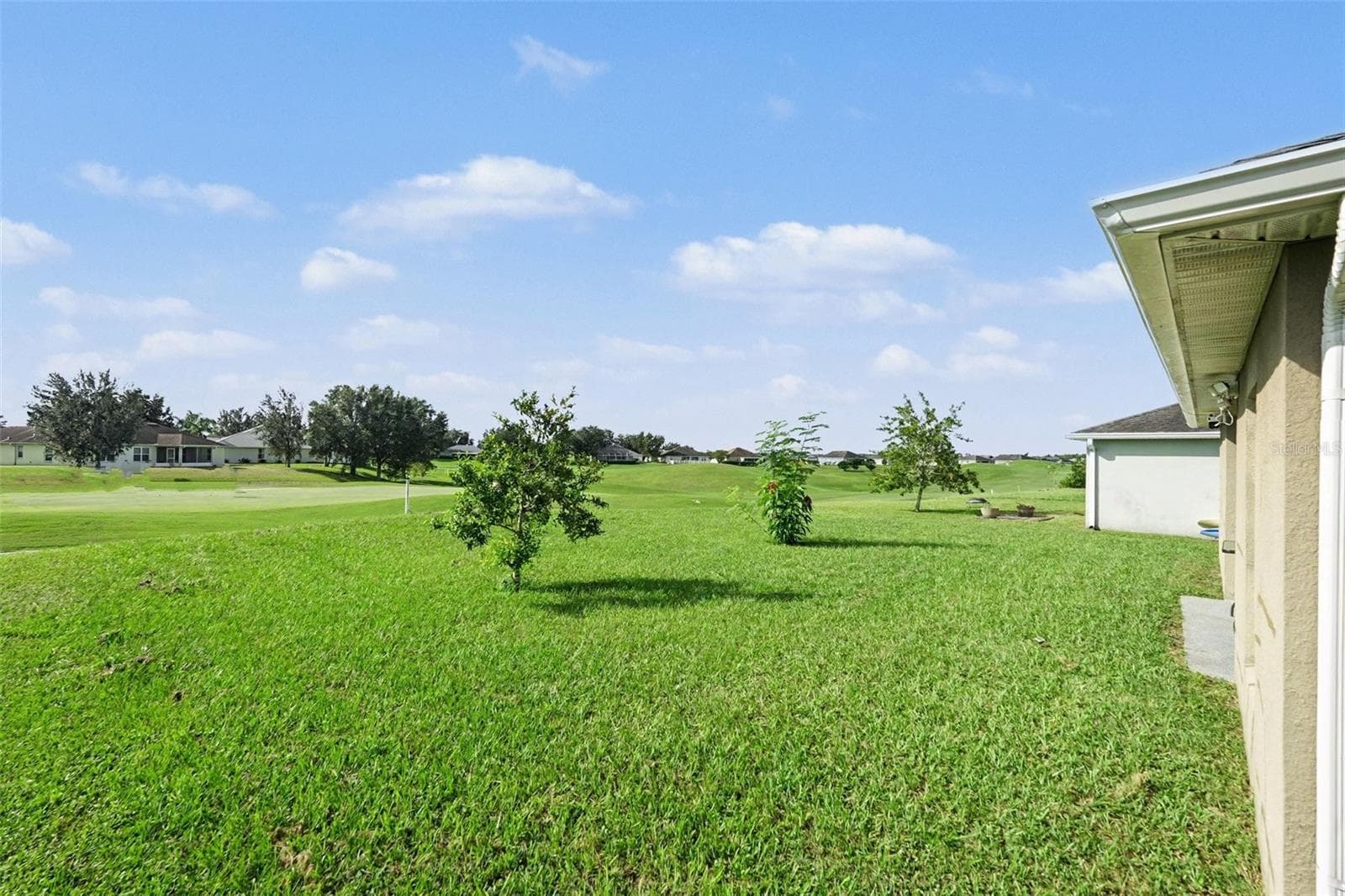 Single Family Residence at 30944 WATER LILY DR, BROOKSVILLE, photo 4 of 15