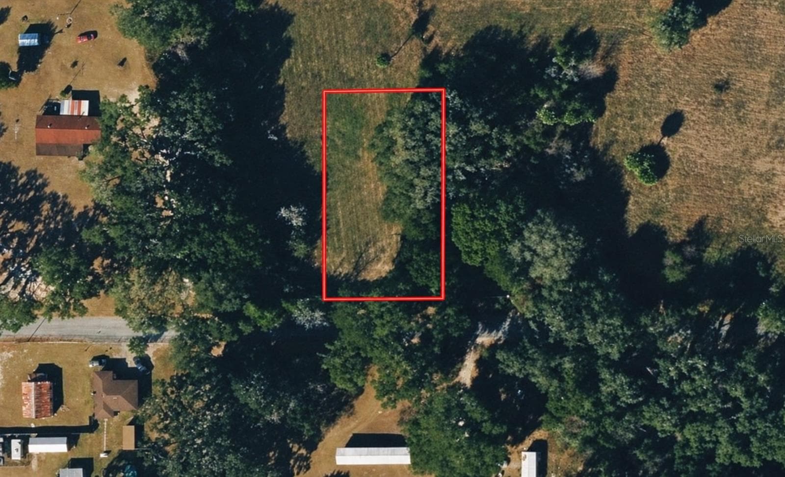 Land at NE 175TH ST, CITRA, photo 2 of 4