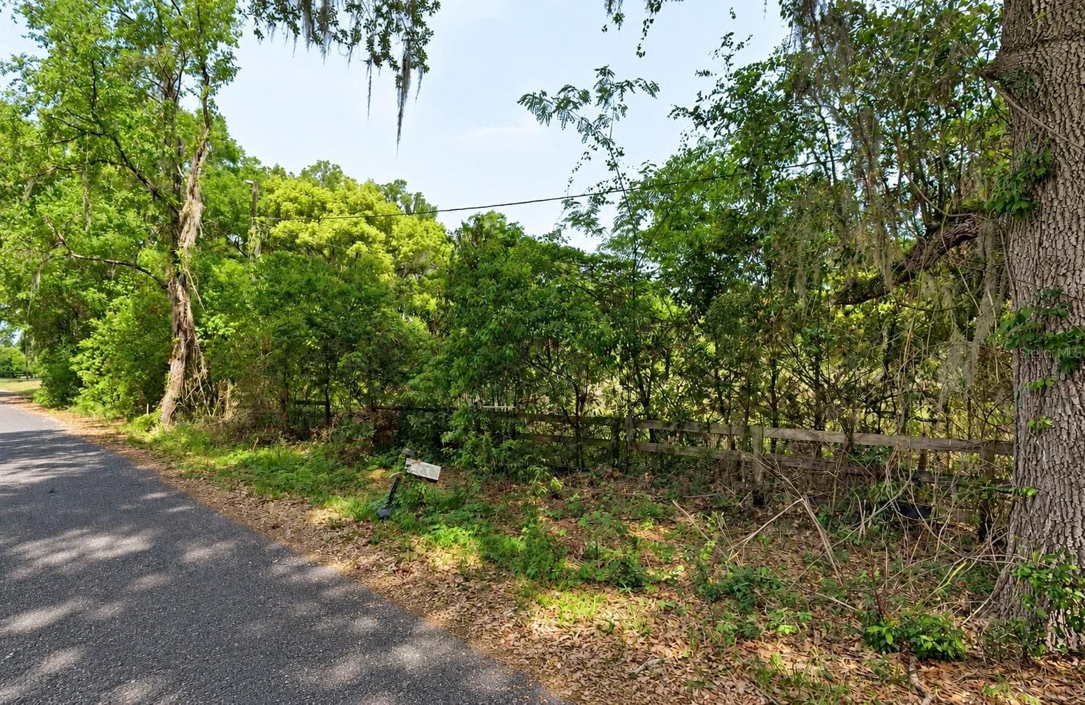 Land at NE 175TH ST, CITRA, photo 3 of 4