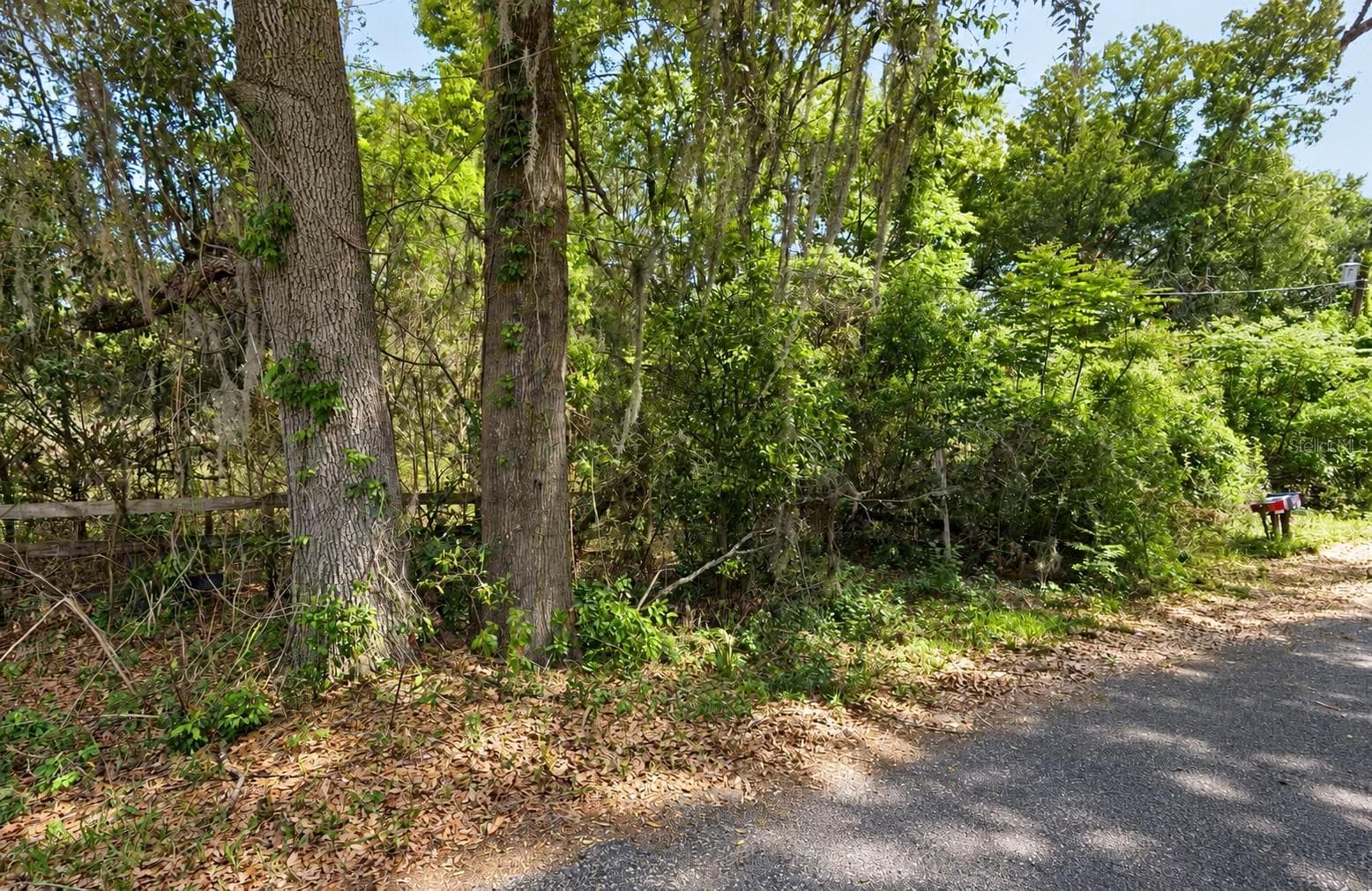 Land at NE 175TH ST, CITRA, photo 4 of 4