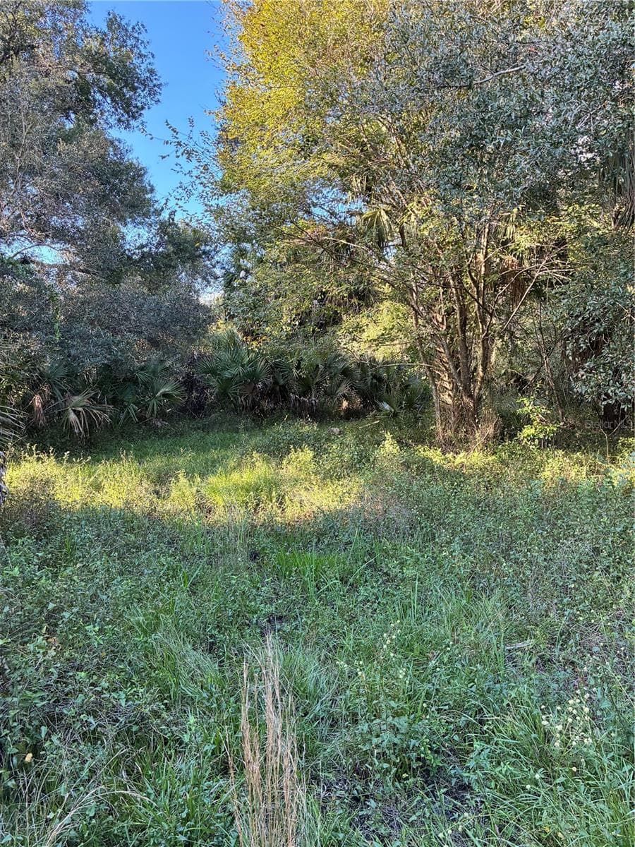 Land at 16418, MYAKKA CITY, photo 9 of 10